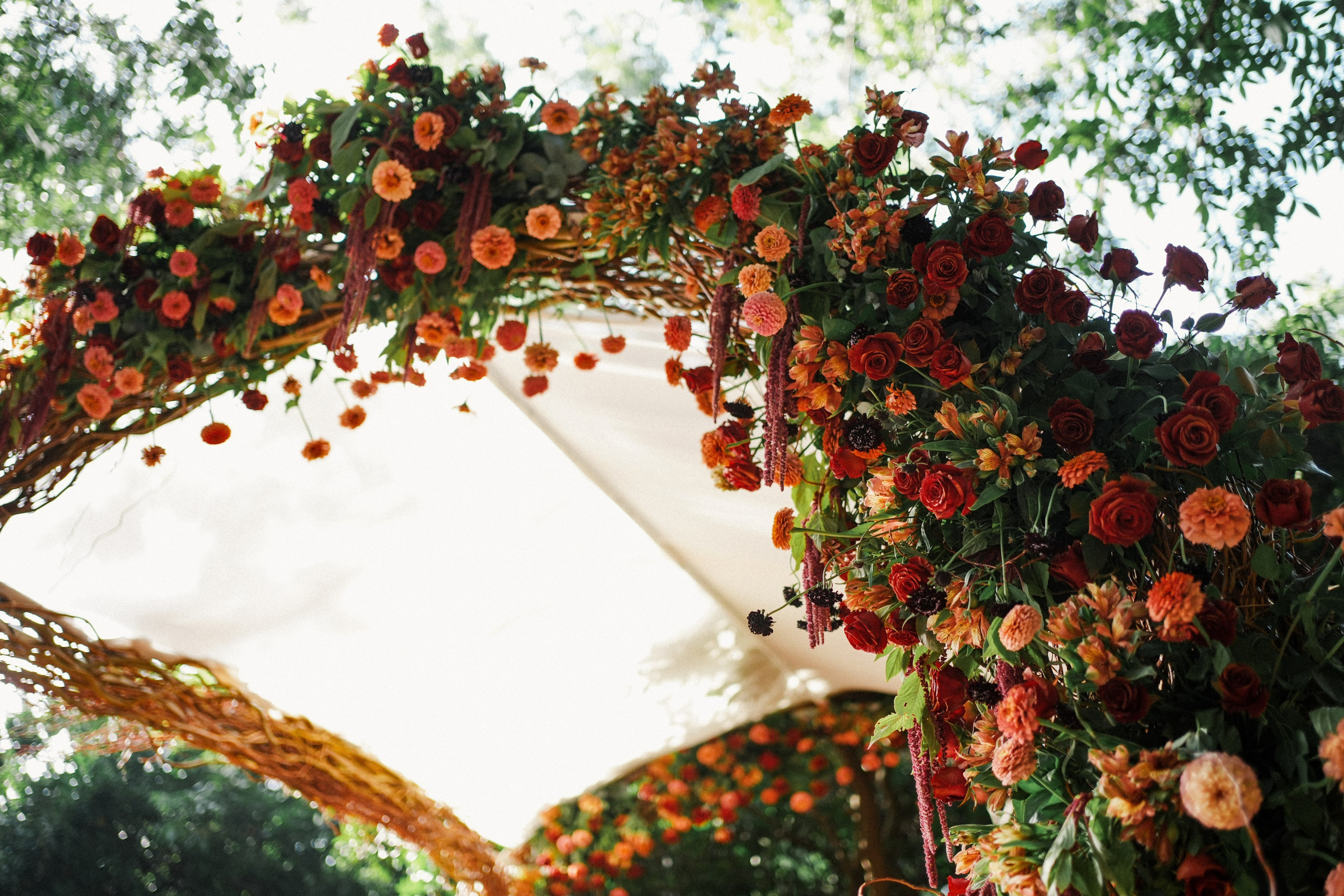 Dmitry Gorodetsky Event Photographer