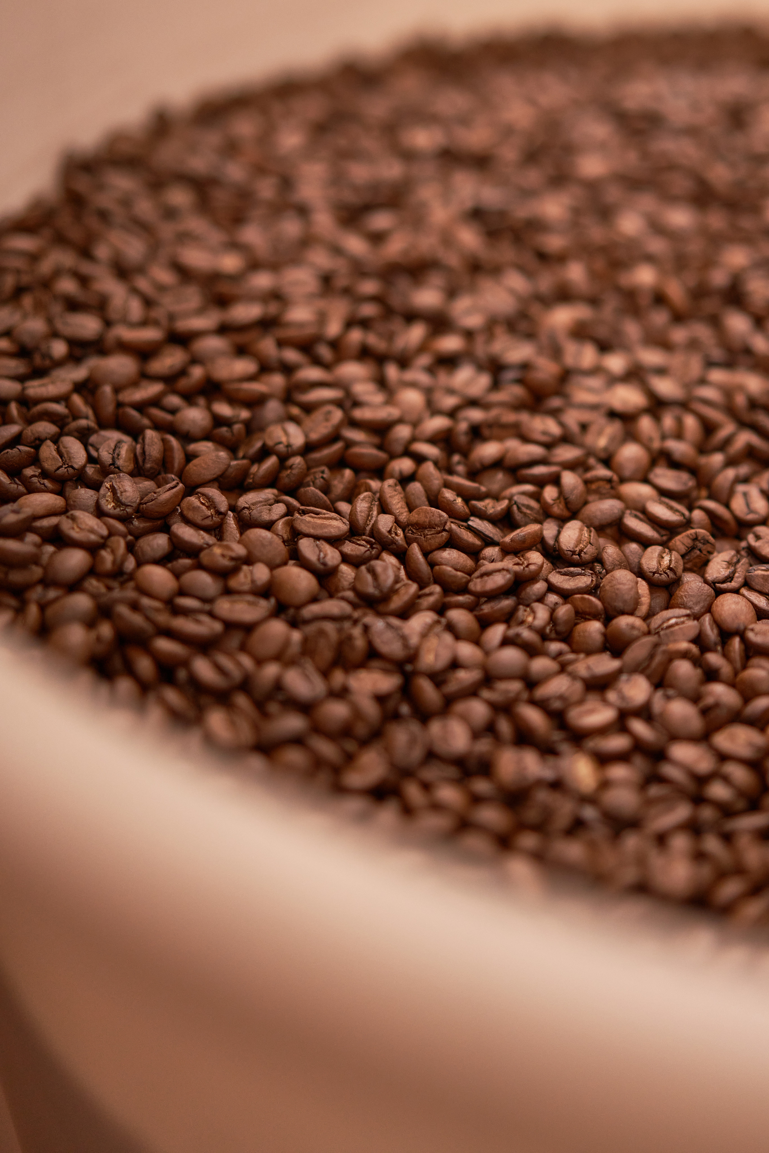 Съемка для Coffee element. Norman Wells photographer Ekaterina Konovalenko