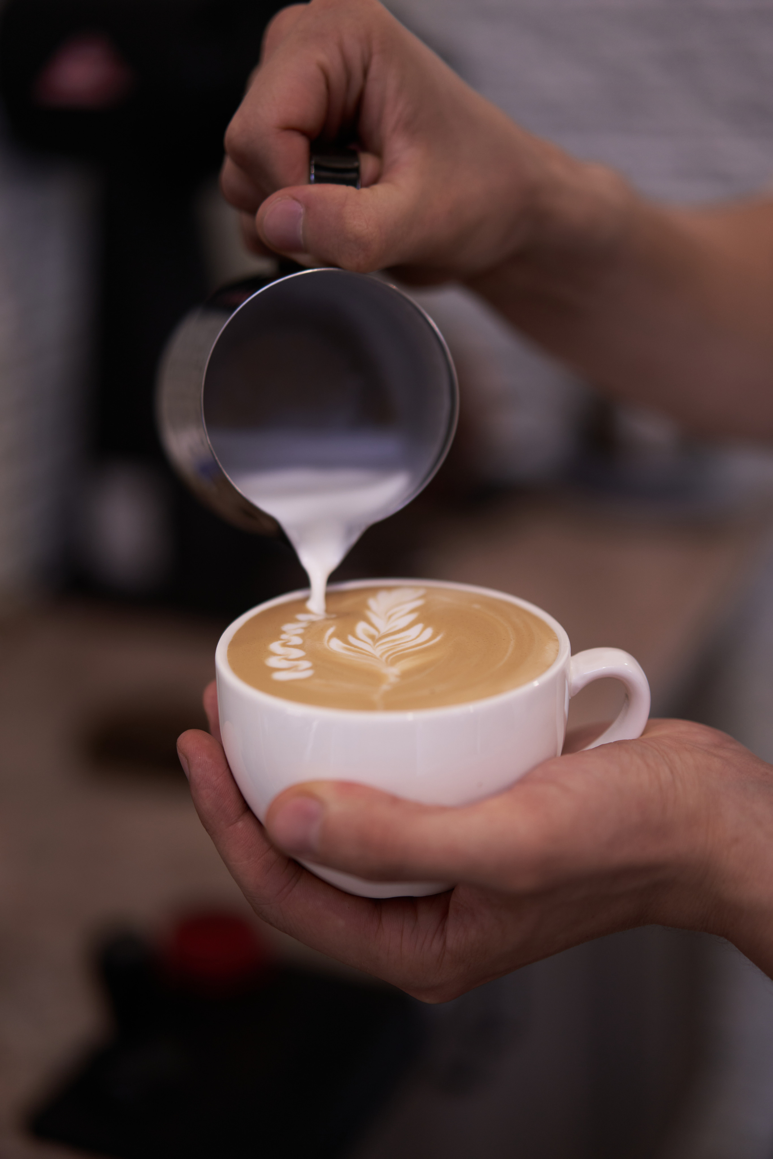 Съемка для Coffee element. Norman Wells photographer Ekaterina Konovalenko