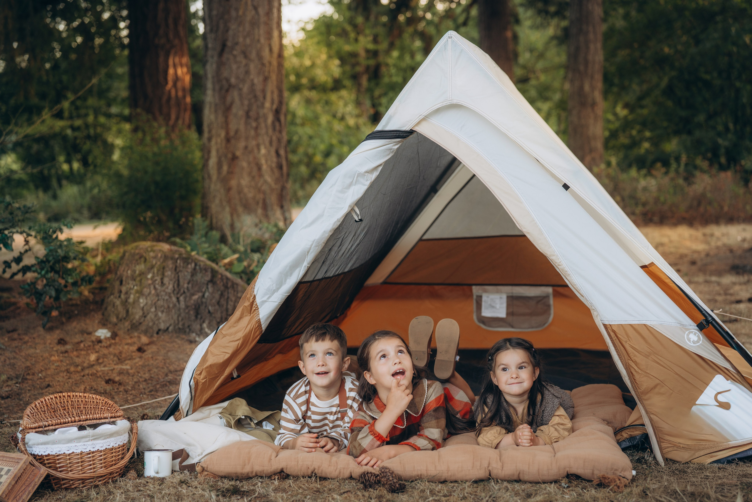 Partfolio. Minnesota Family & Newborn Photographer|Anya Melintii