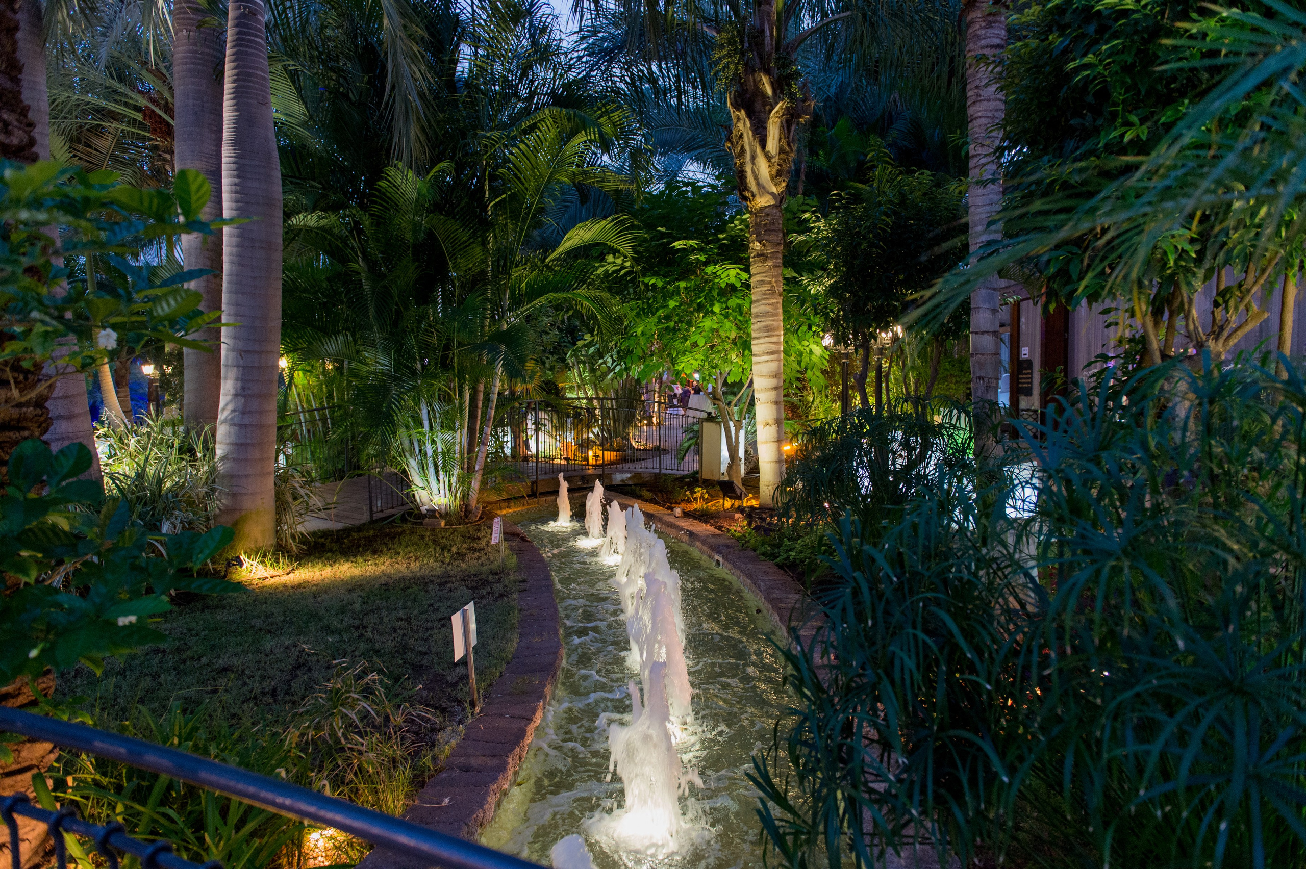 Stella & Elijahu. Wedding and events photographers Studio Shalom