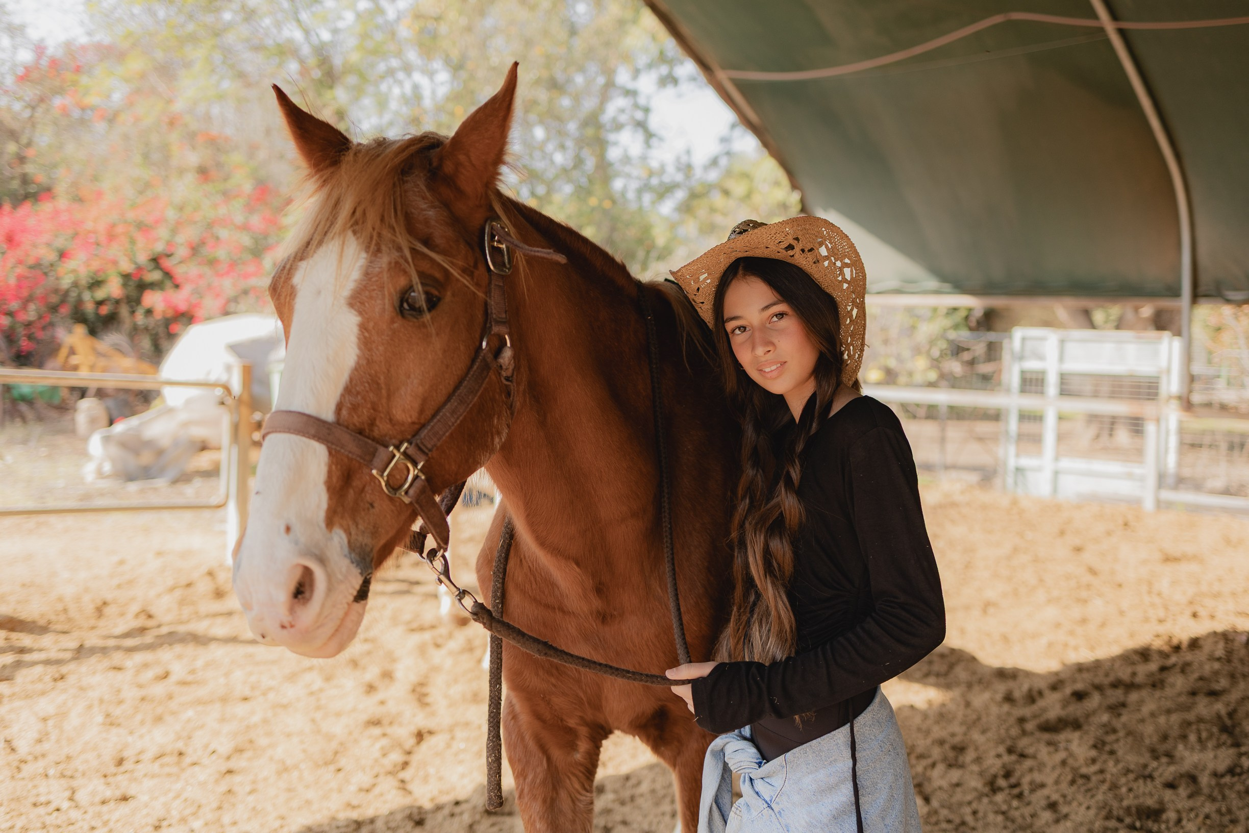 חוות סוסים בת מצווה. דף בית