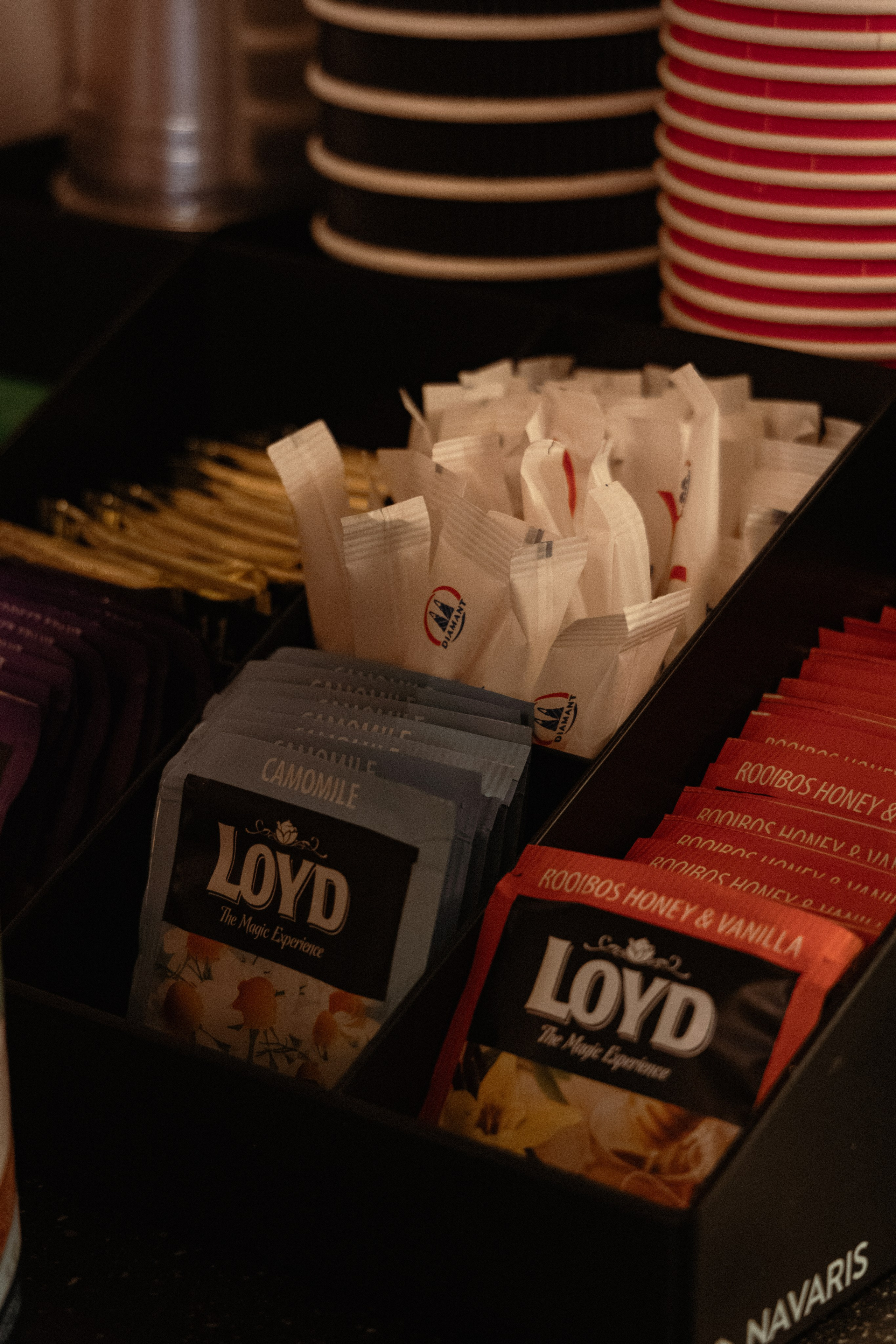 Conference Riga 2024. Дизайнер и Фотограф в Кишинёве Бусуйок Станислав