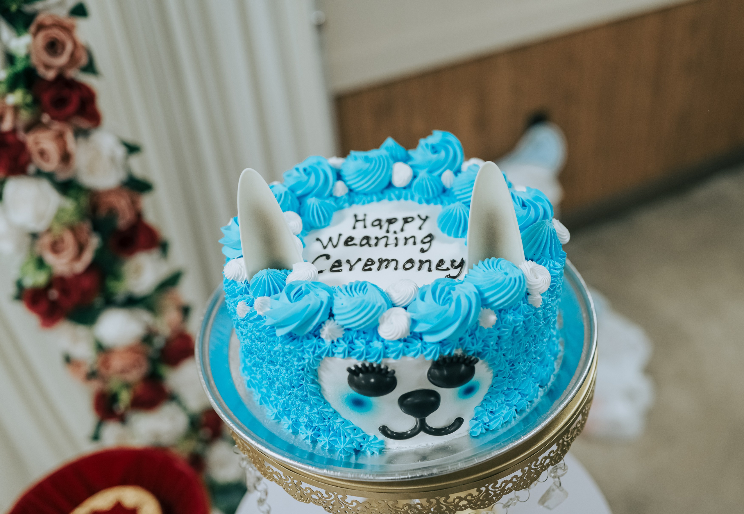 Testimonials. Family and Fine Art Photographer in Pickerington OH