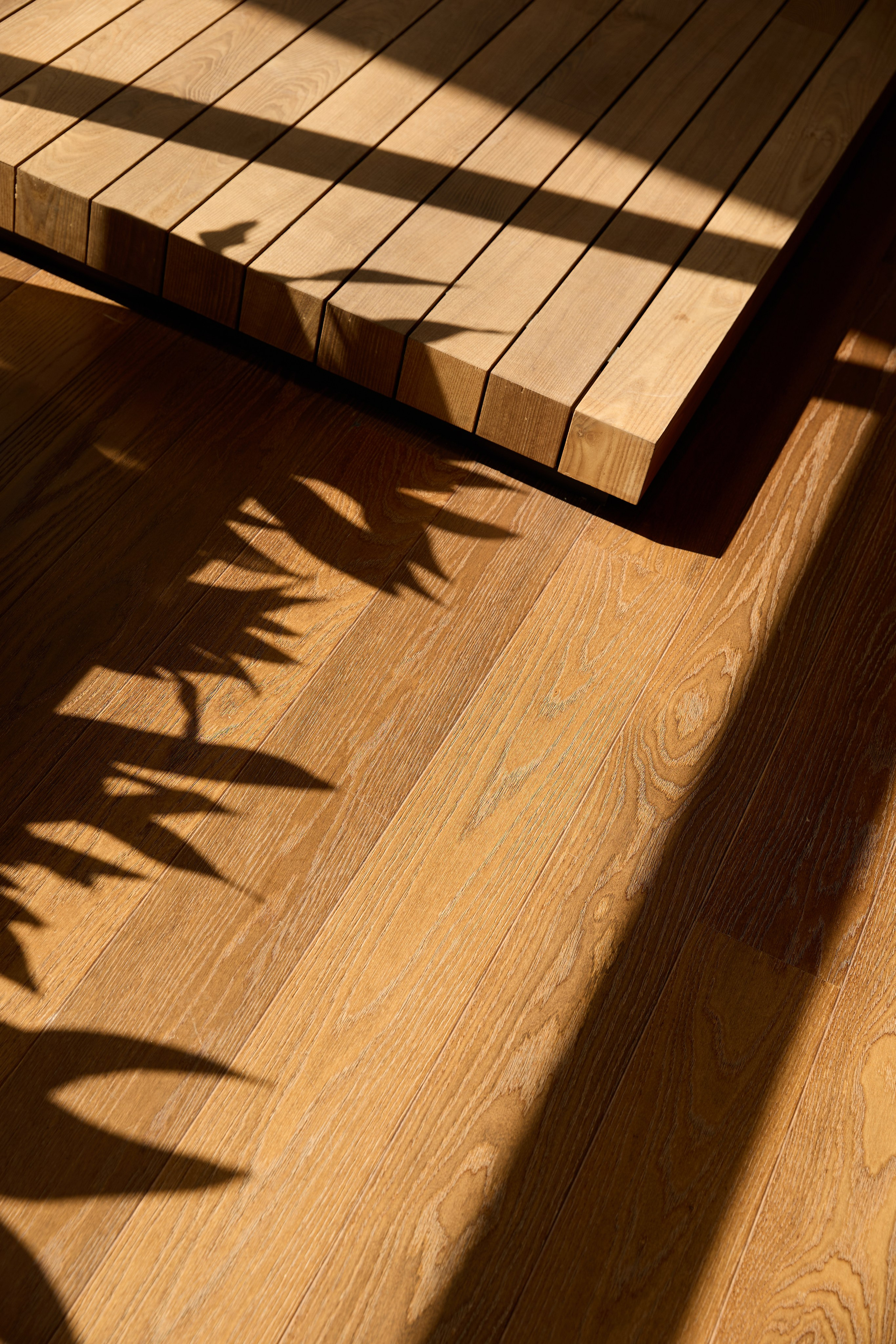 Adis Arcon Office. Интерьерный фотограф и видеограф Израиль