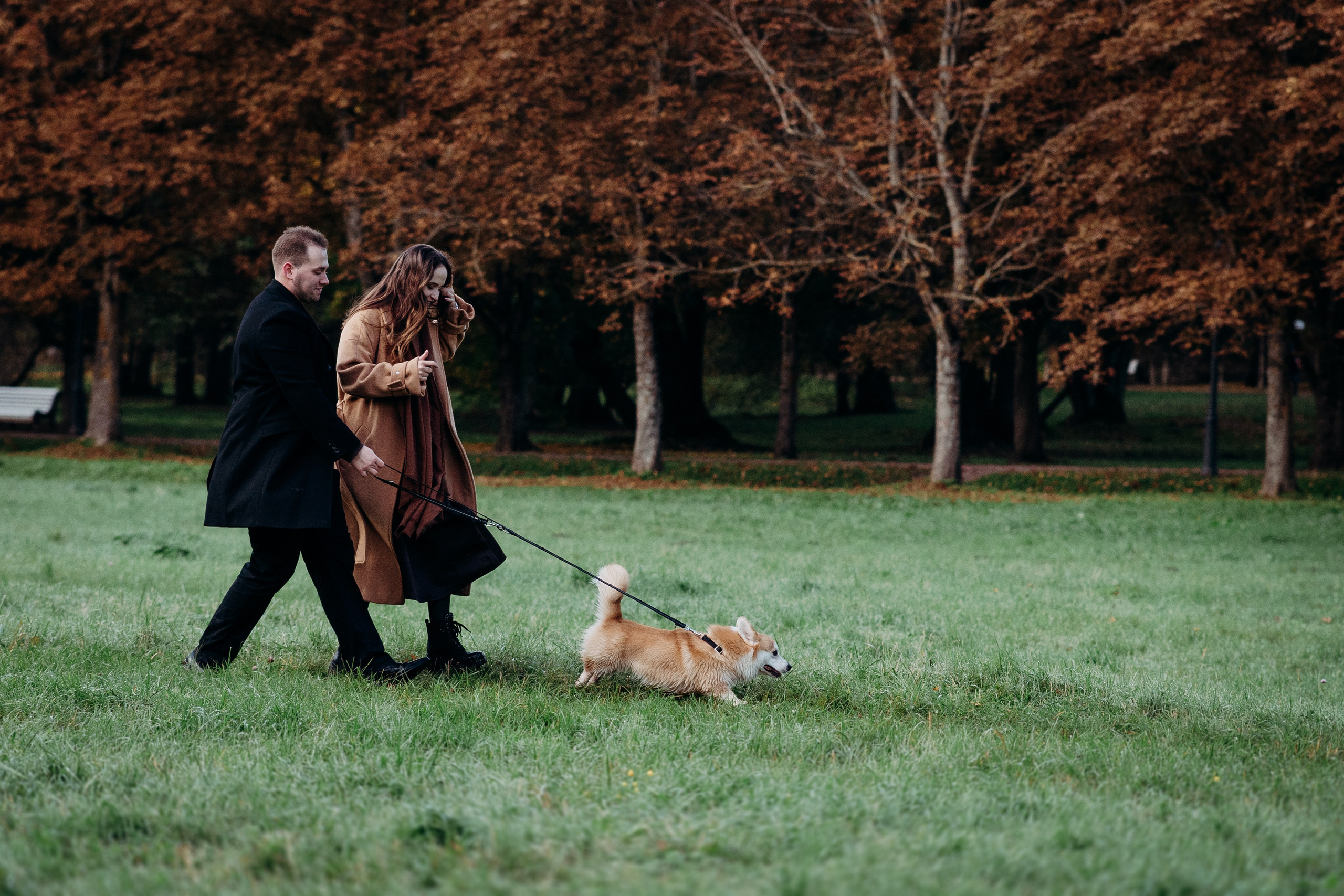 Liisa, Alexander & Marsel. Фотограф-анималист в Таллинне, Катя Лайсаар