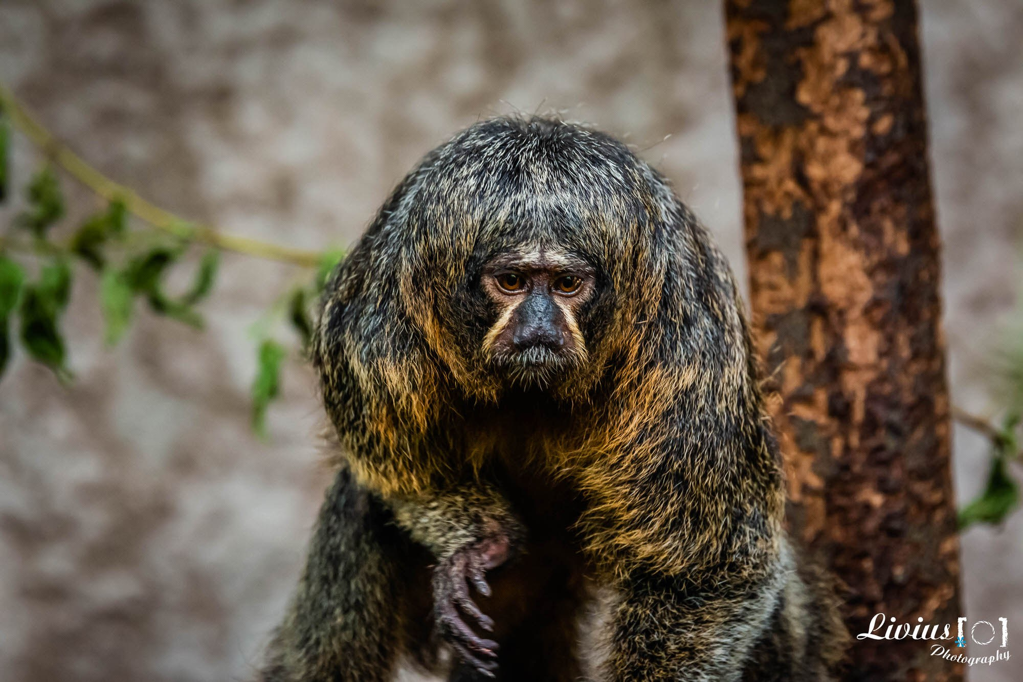 Tierpark Nürnberg. FOTO KREATIV