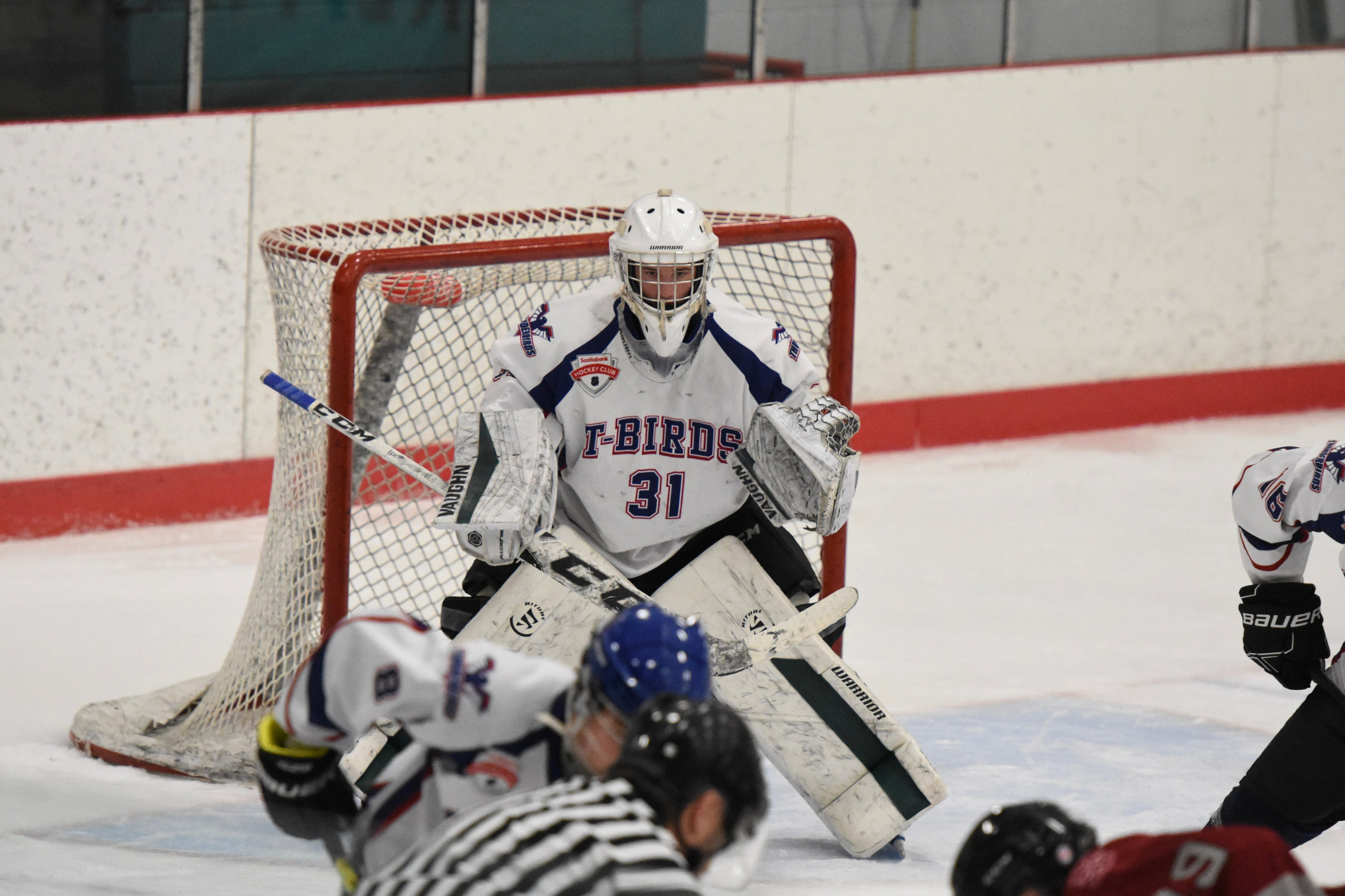 Ice Hockey. Jennifer Lai Media