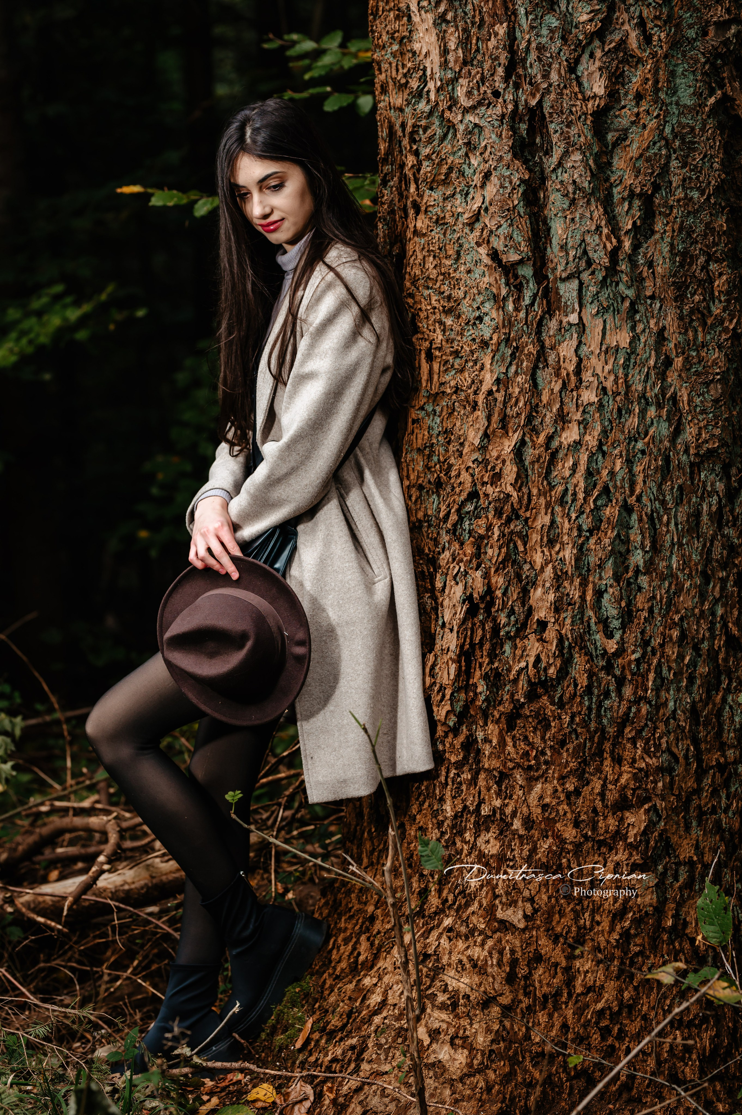 Golden Fall. Dumitrasca Ciprian Photography