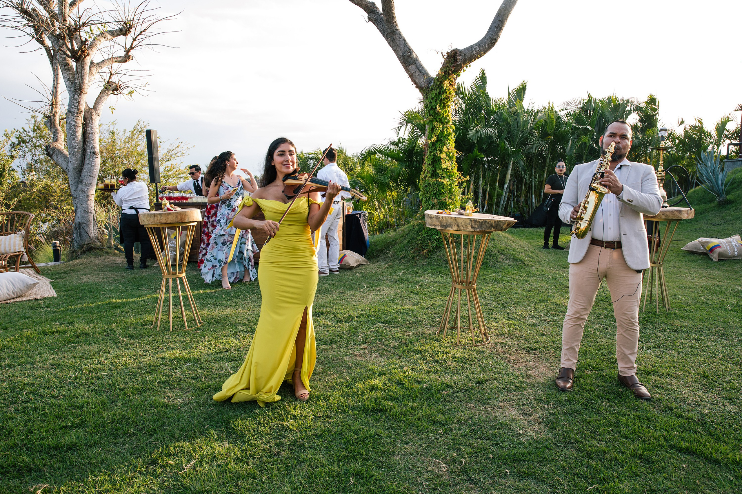 Fiesta/ Coctel. Principal