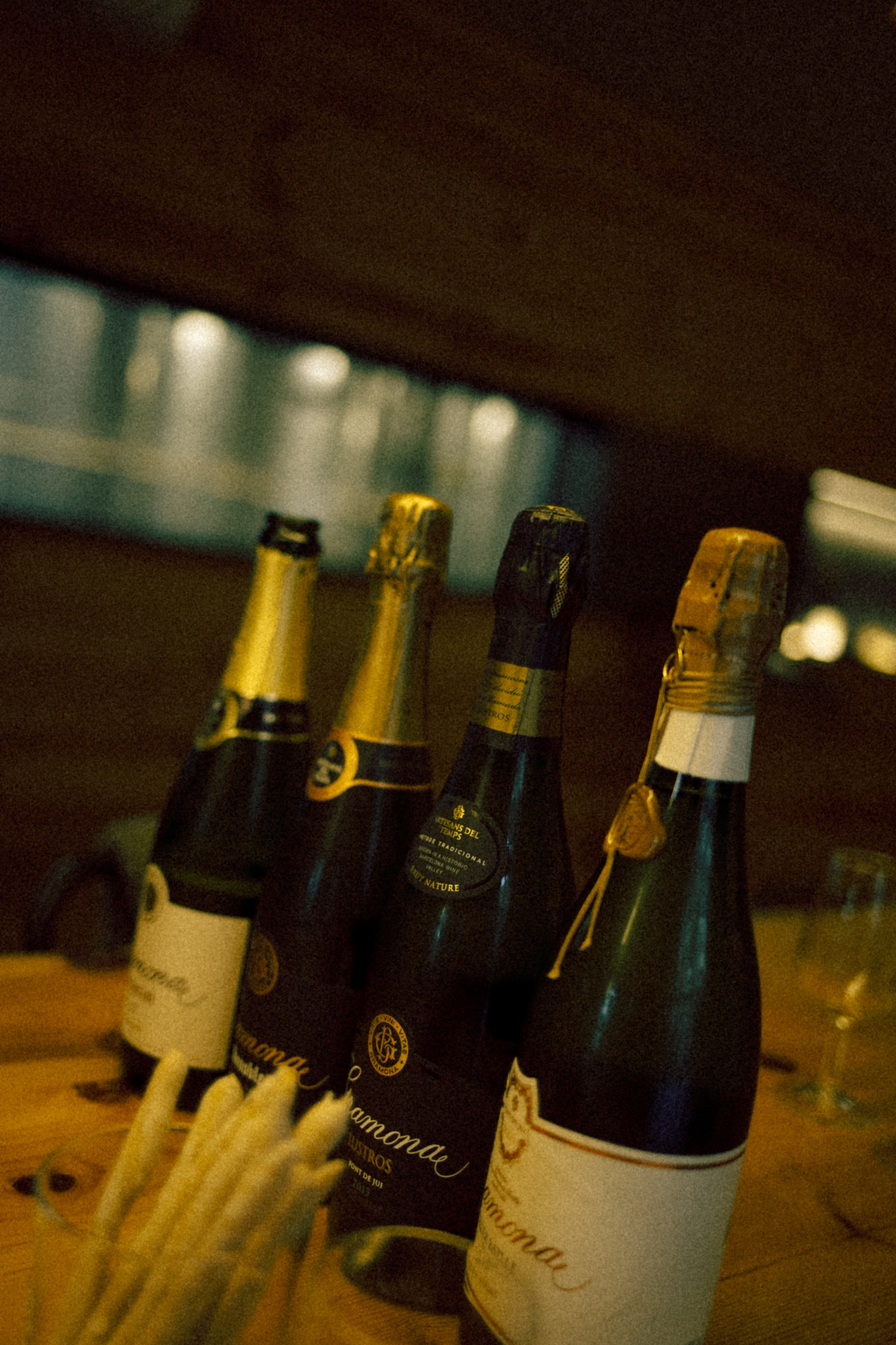 My birthday trip to the winery. Marina Kálcheva — Photographer, Videographer & Visual Artist in Barcelona