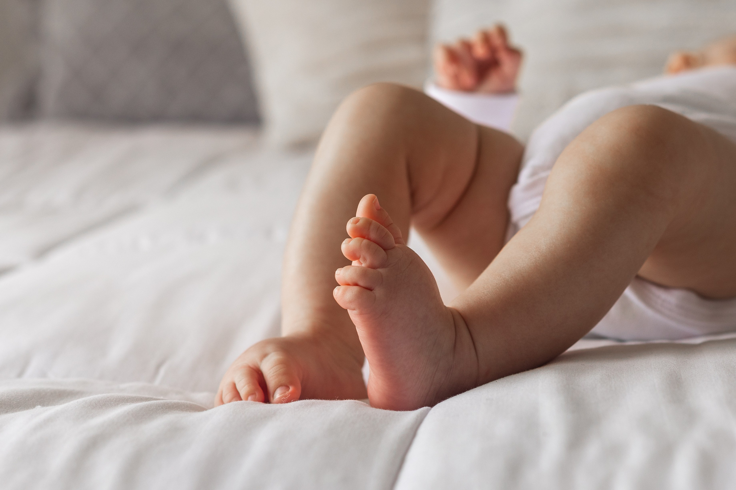 Maria Aurora (Familia)