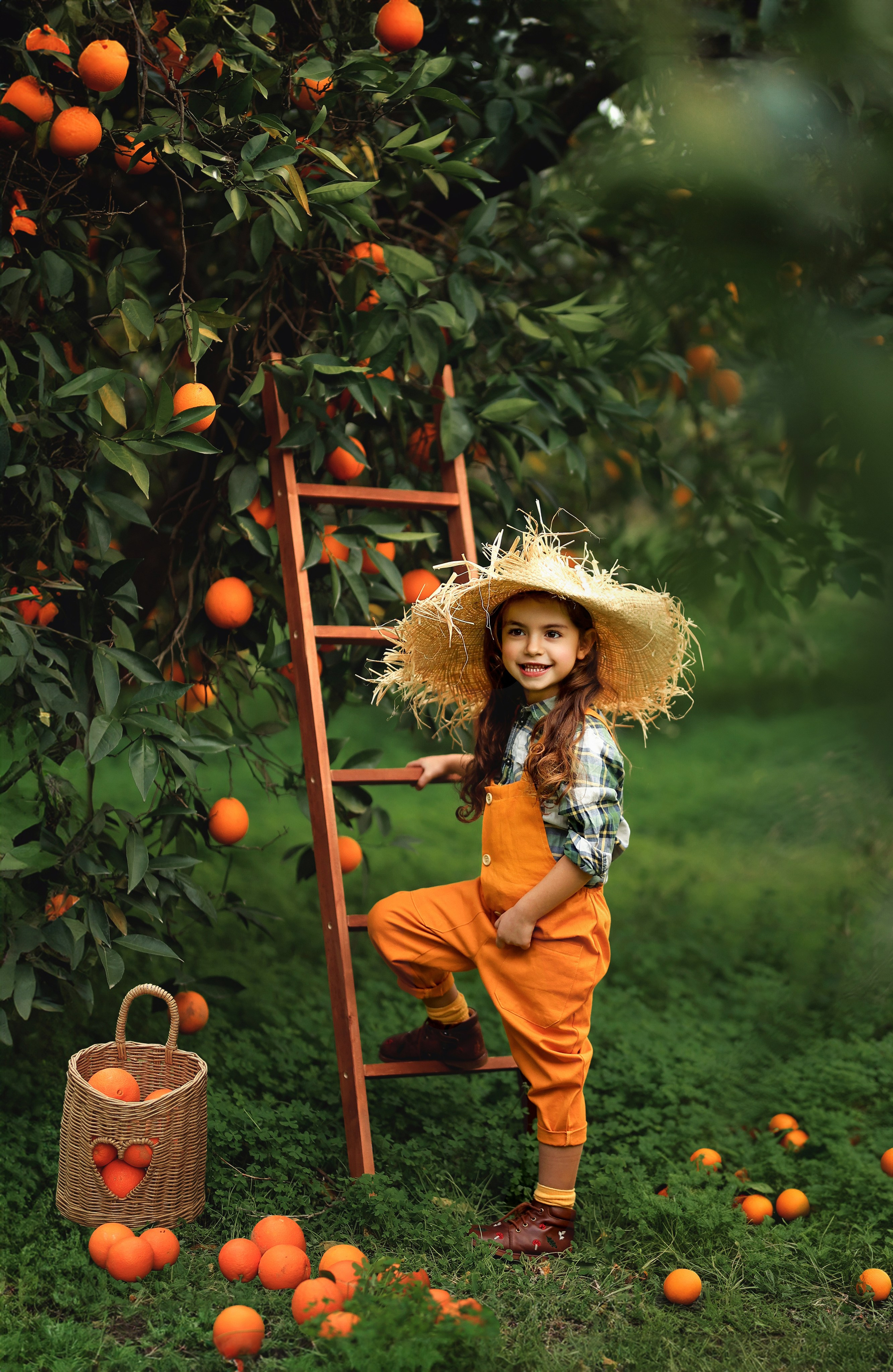 Photoshooting in orange garden. Photographer in Turkey, Antalya, Kemer, Belek, Side, Kas, Fethiye