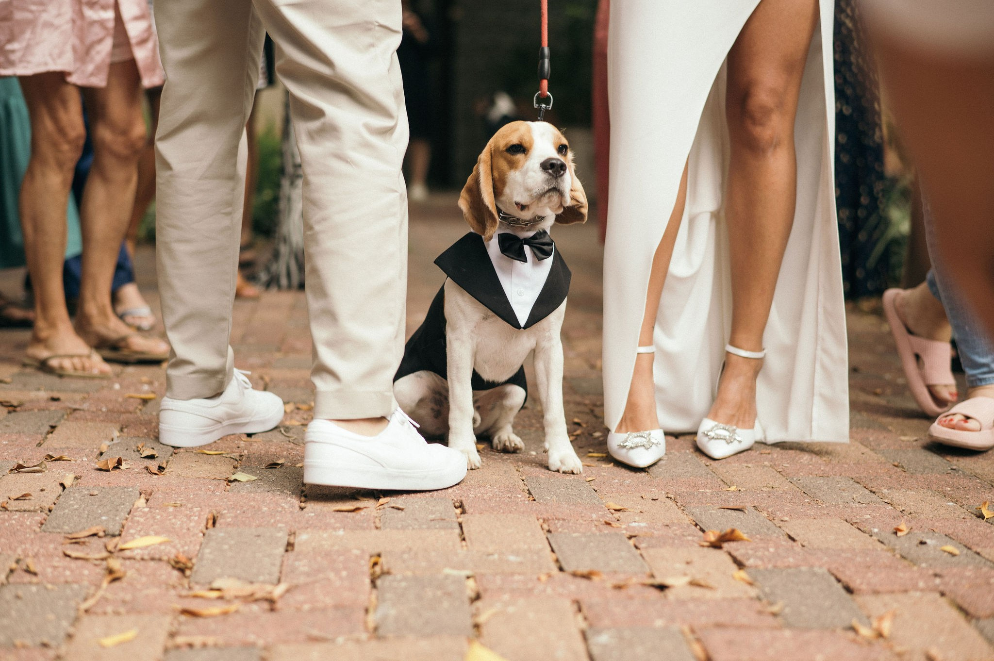 Amit and Idan. Alexnader Selenzyov Wedding Photographer