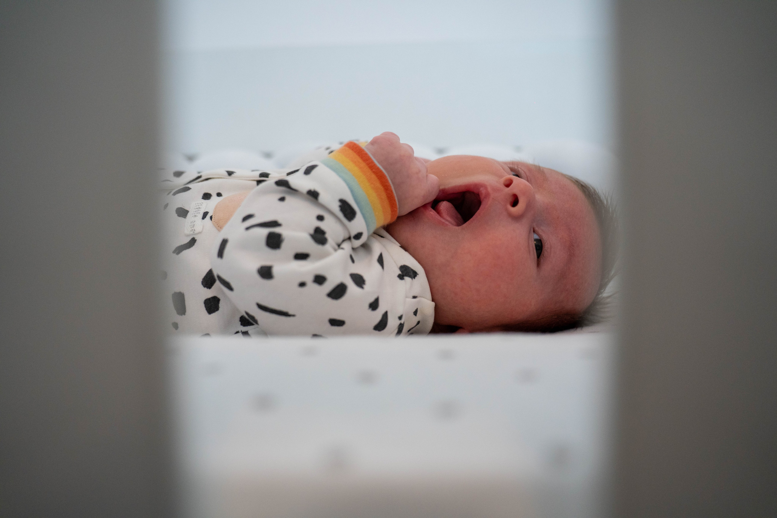 Luca Nectarie. B|P Weddings - Fotograf & Videograf - București||0730017811