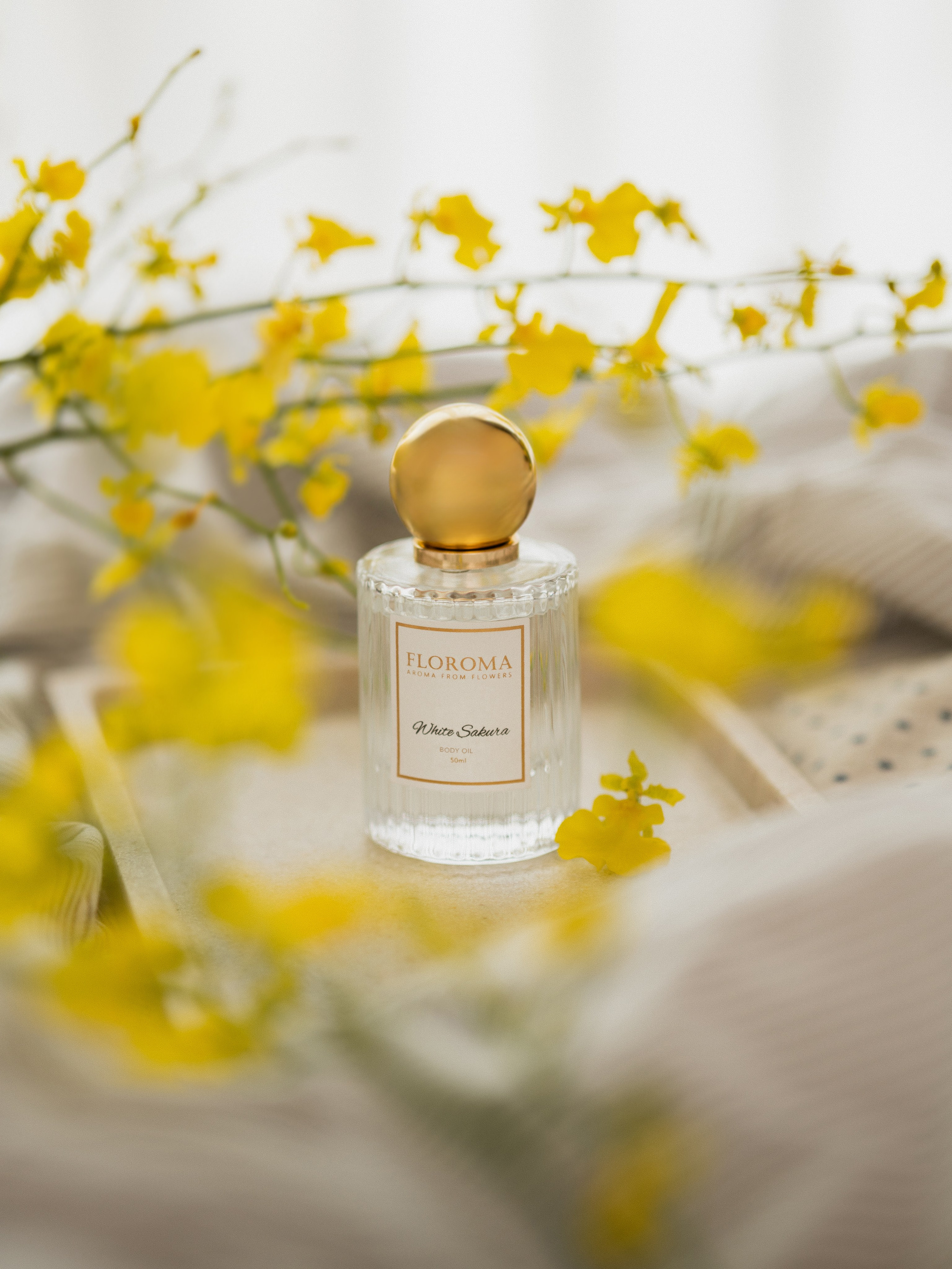 Floroma. Photographer and videographer in China