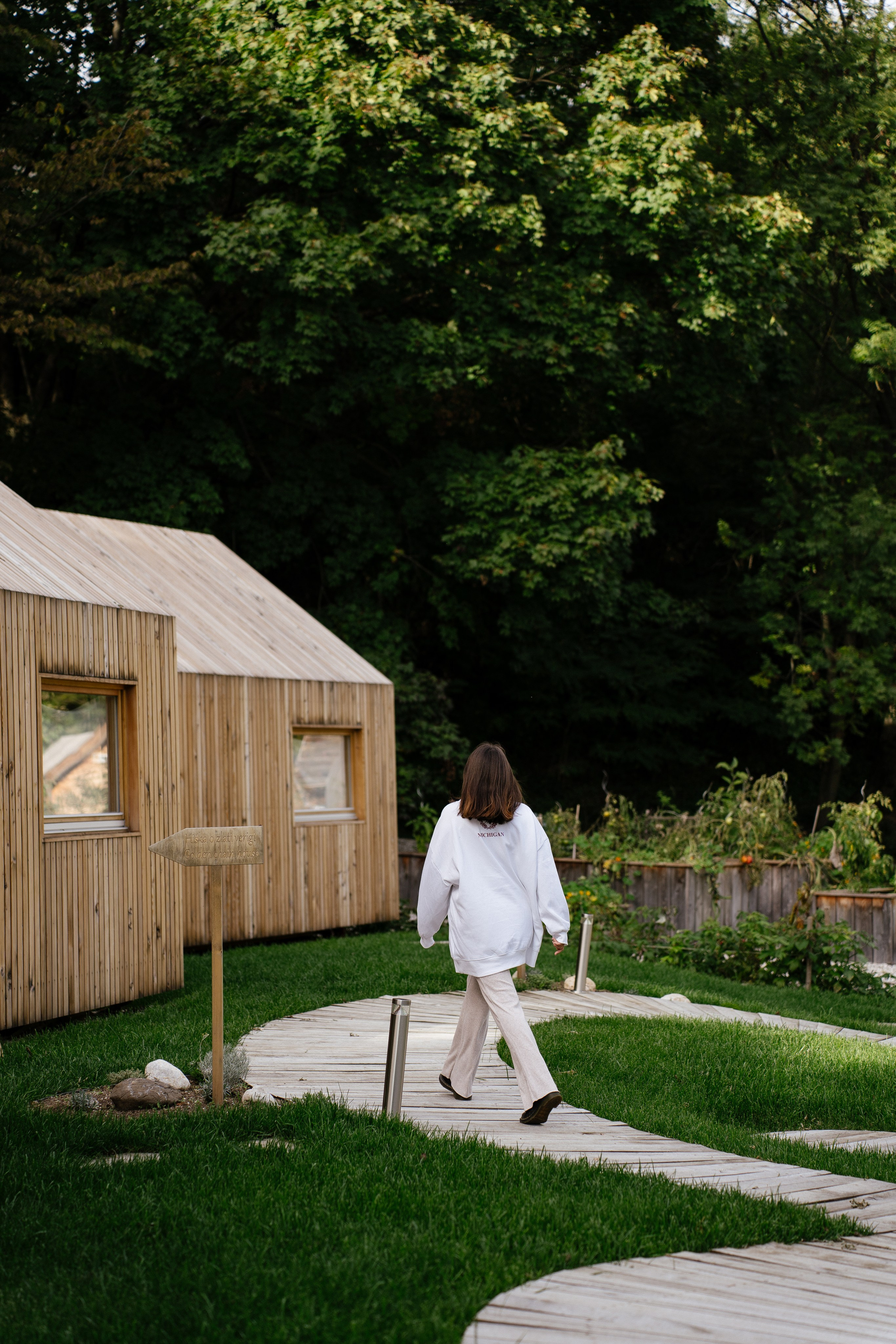 Mood. Patricia Morenci — Mountain Adventures for the Wild at Heart