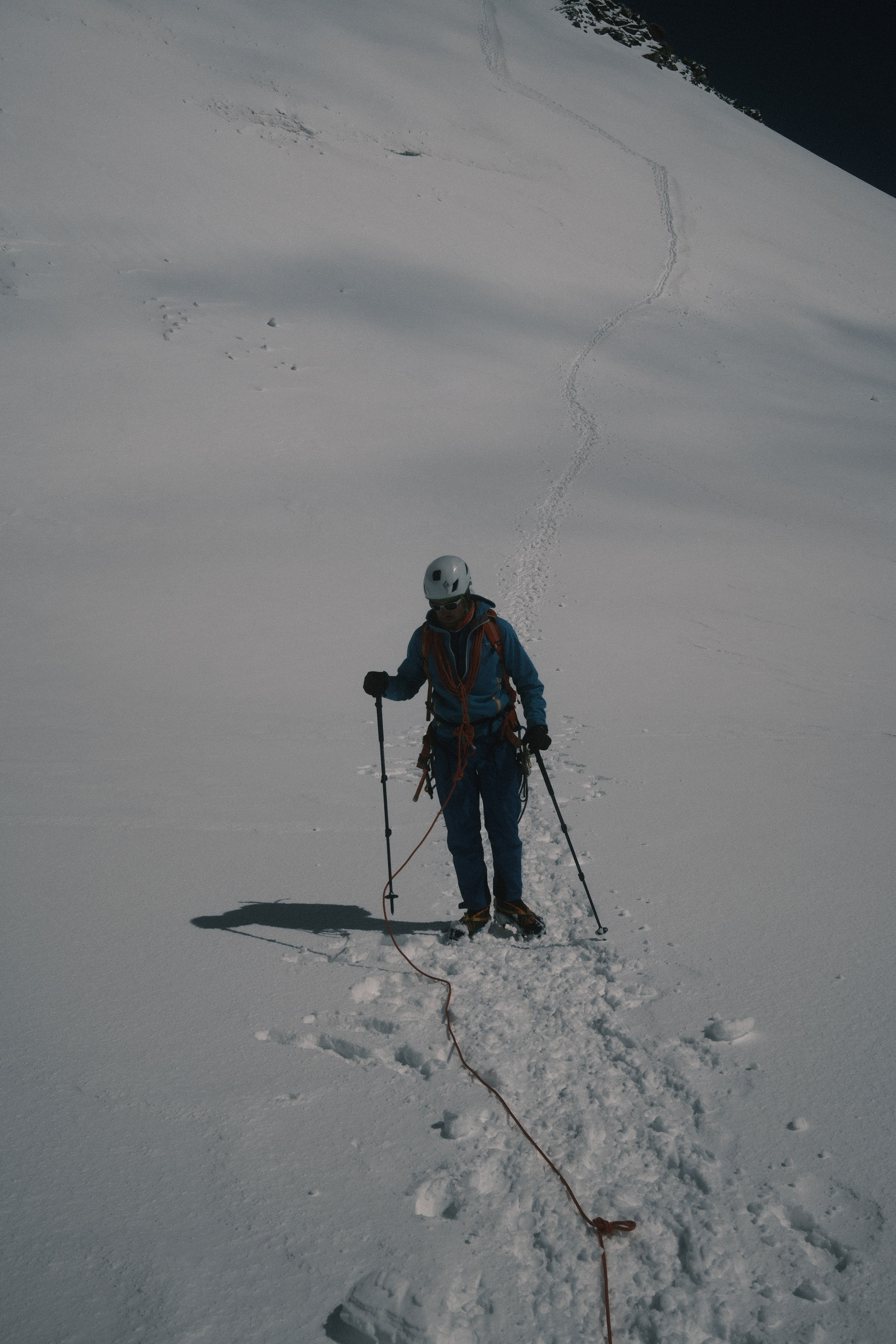 Castor. Patricia Morenci — Mountain Adventures for the Wild at Heart