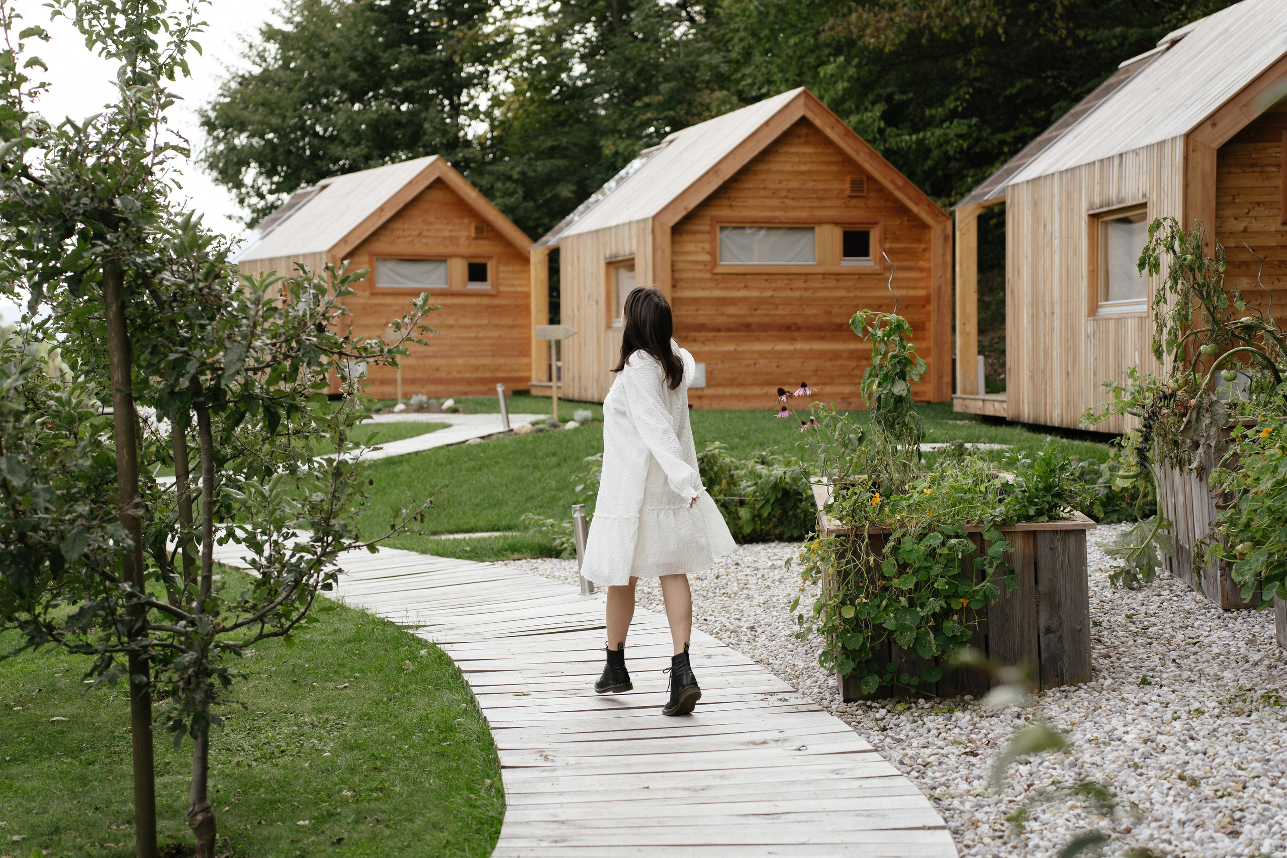 Mood. Patricia Morenci — Mountain Adventures for the Wild at Heart