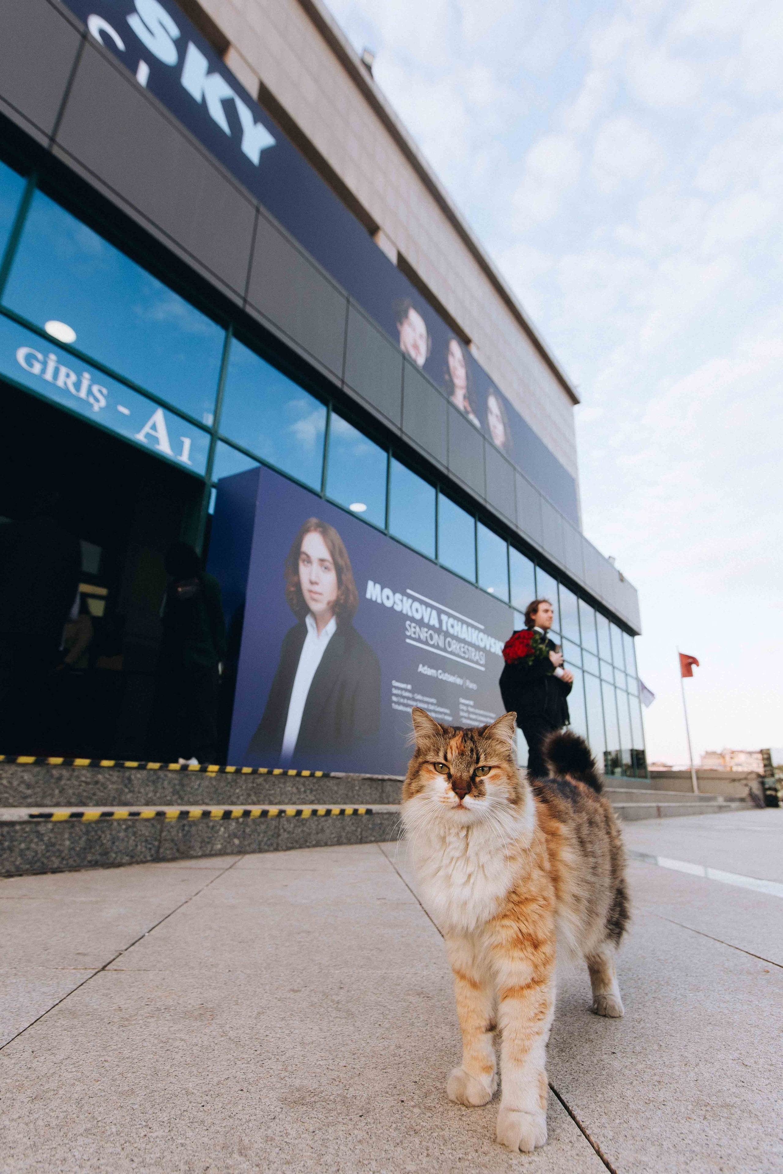 The Tchaikovsky Academic Grand Symphony Orchestra in Istanbul. Wedding&Event photographer Ismail Rzayev in Baku