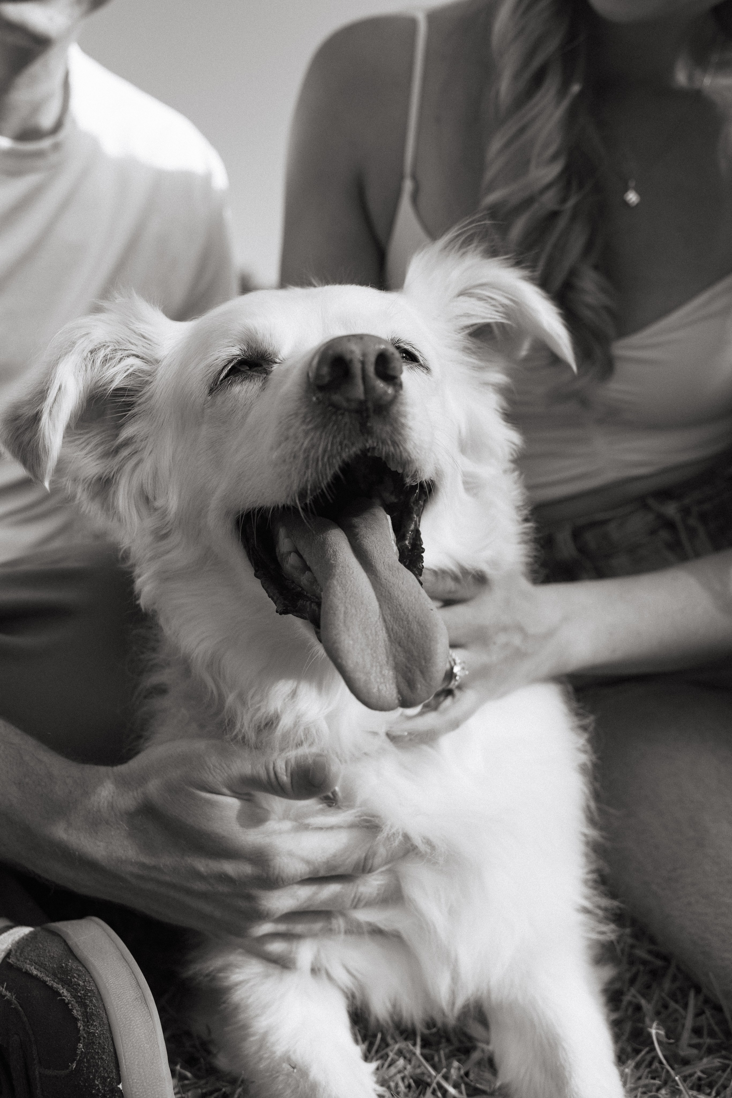Ava. Big and loyal Love. Portrait, family, maternity & wedding photography & videography in SoCal Kseni Vibe