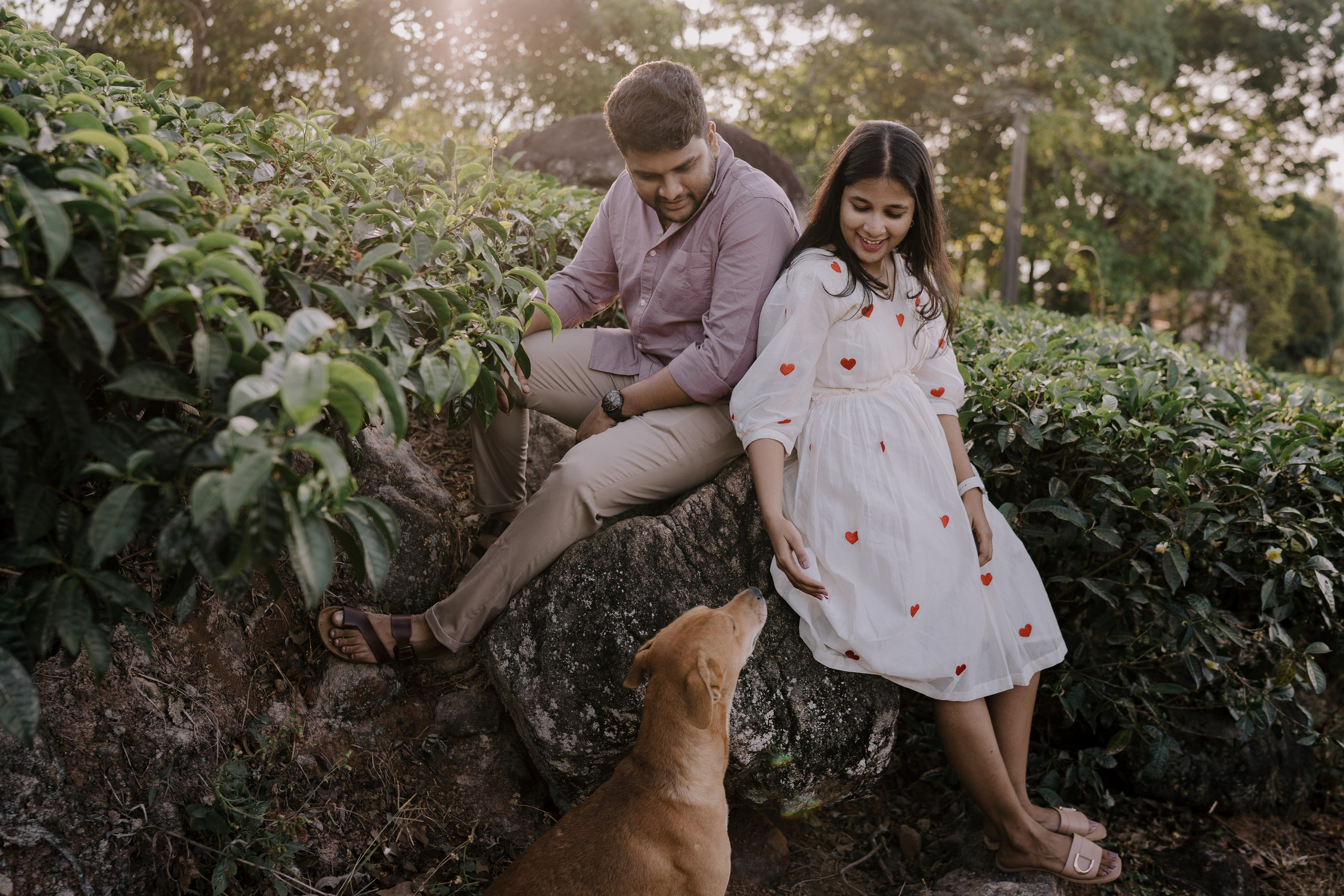 Greeshma & Vignesh. Agam Vizha