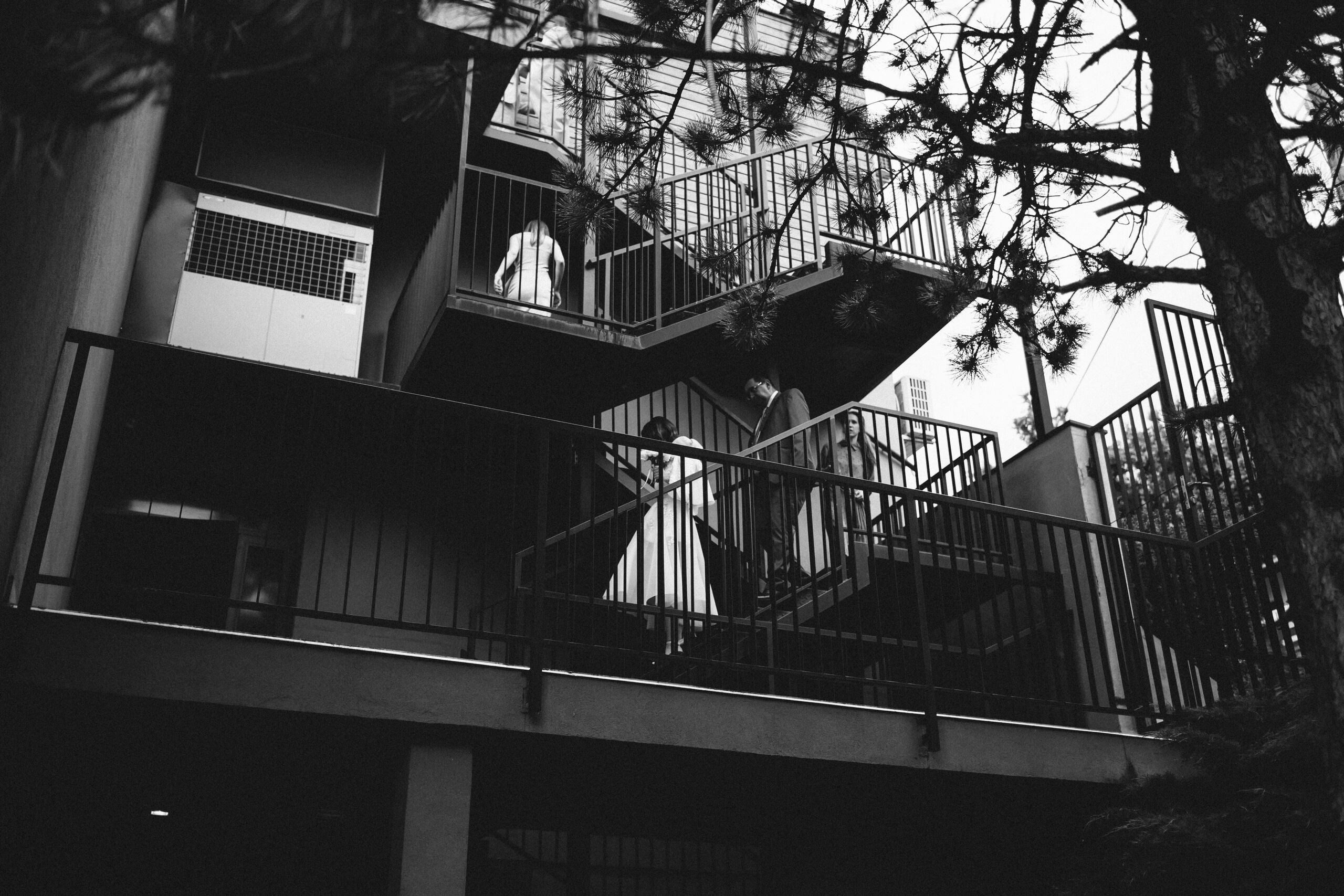 Ana & Nemanja. Wedding photographer based in Novi Sad, Marko Milivojevic