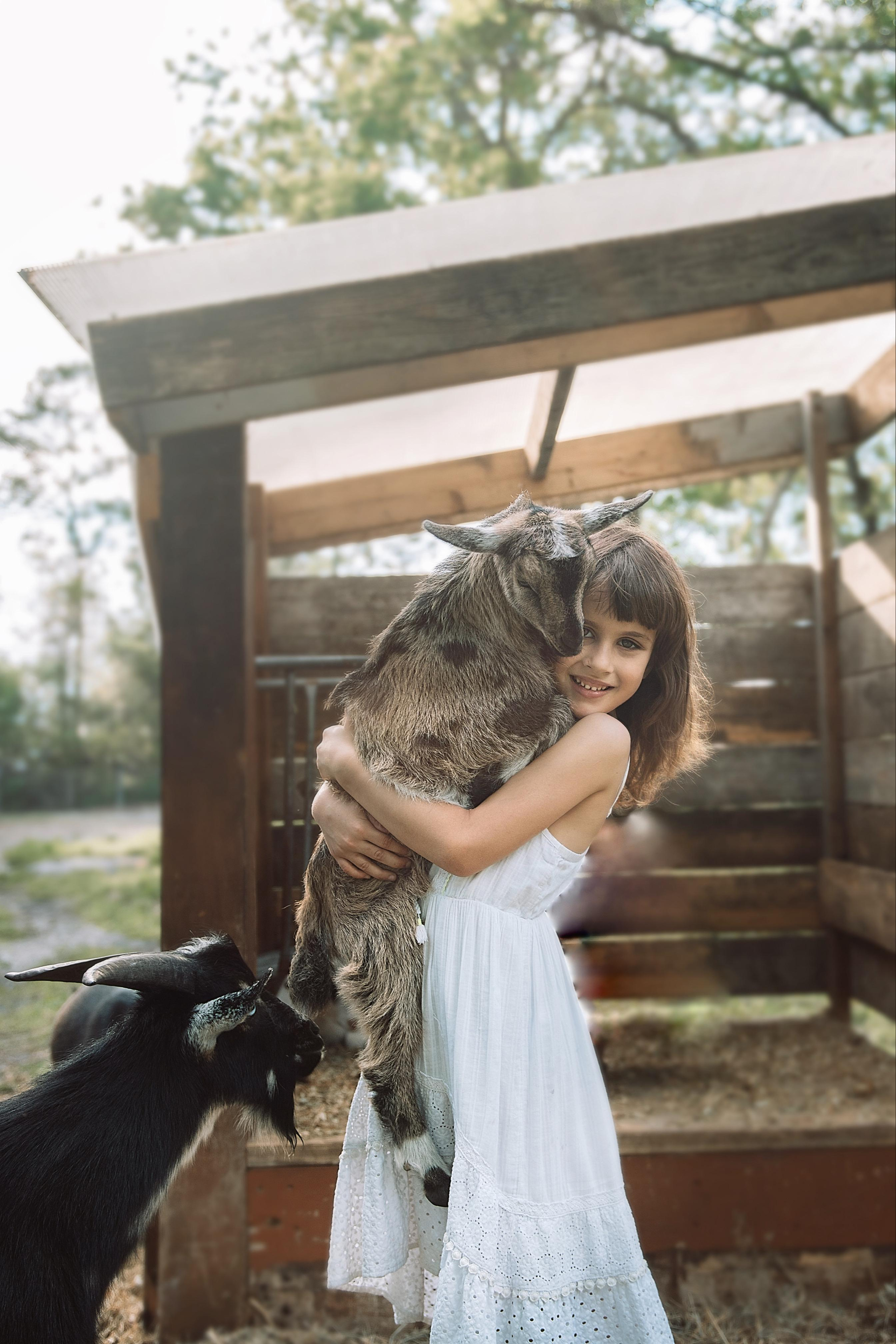 FAMILY. Photographer In Jacksonville Nadia Abrams