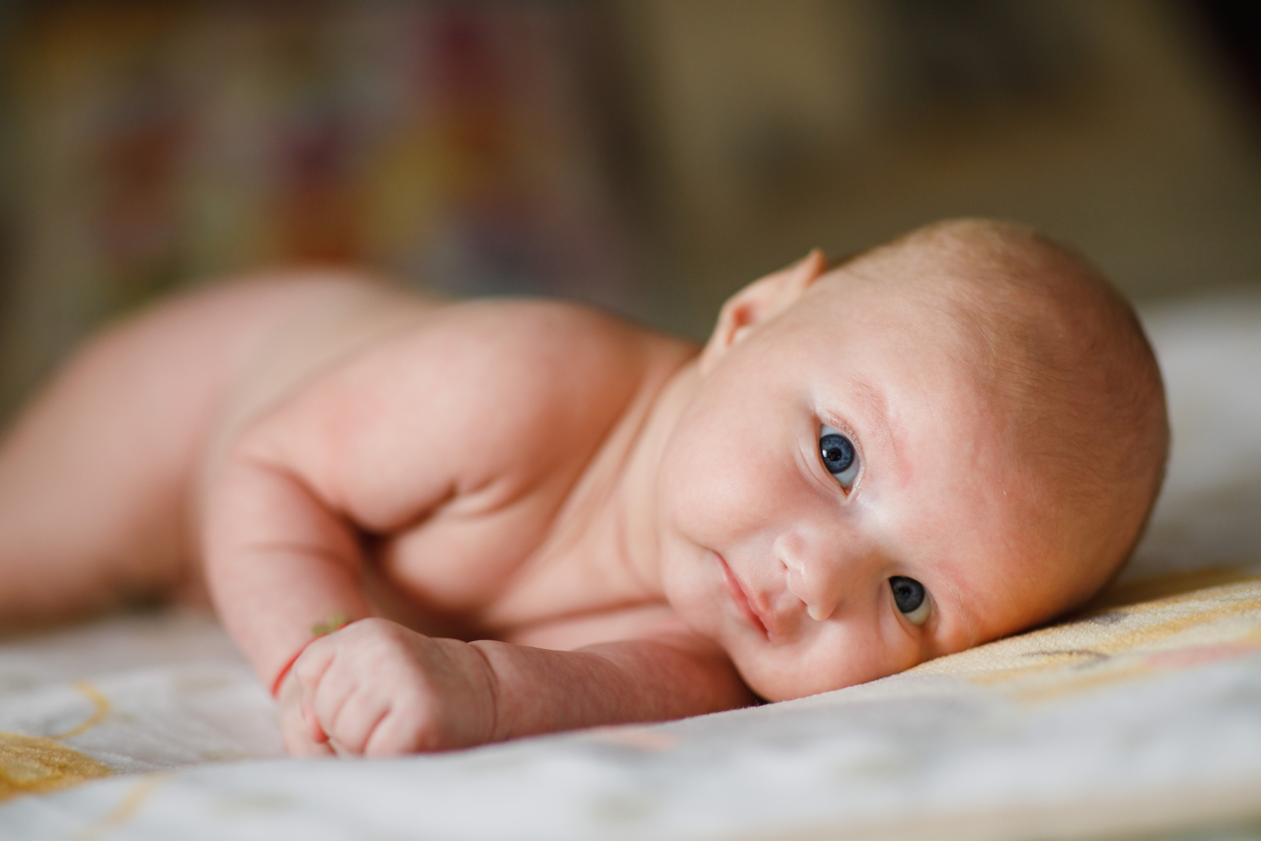 Botez. FreitagPROFOTO