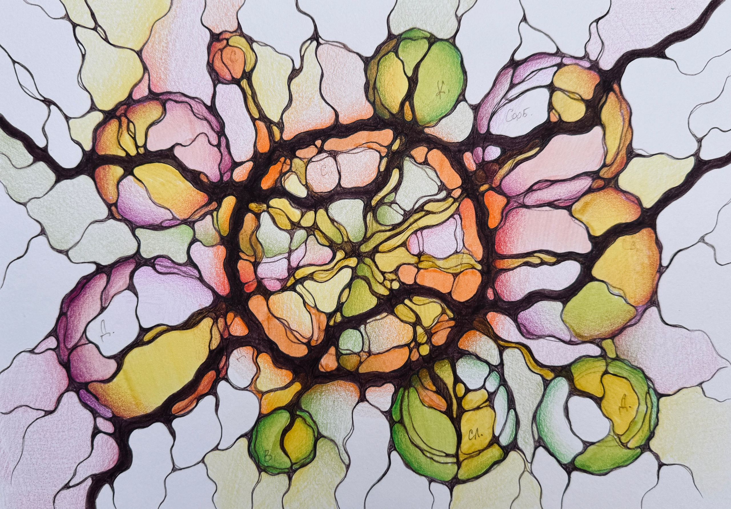 Moje slike. Numerologija. Nevrografika. Delavnice