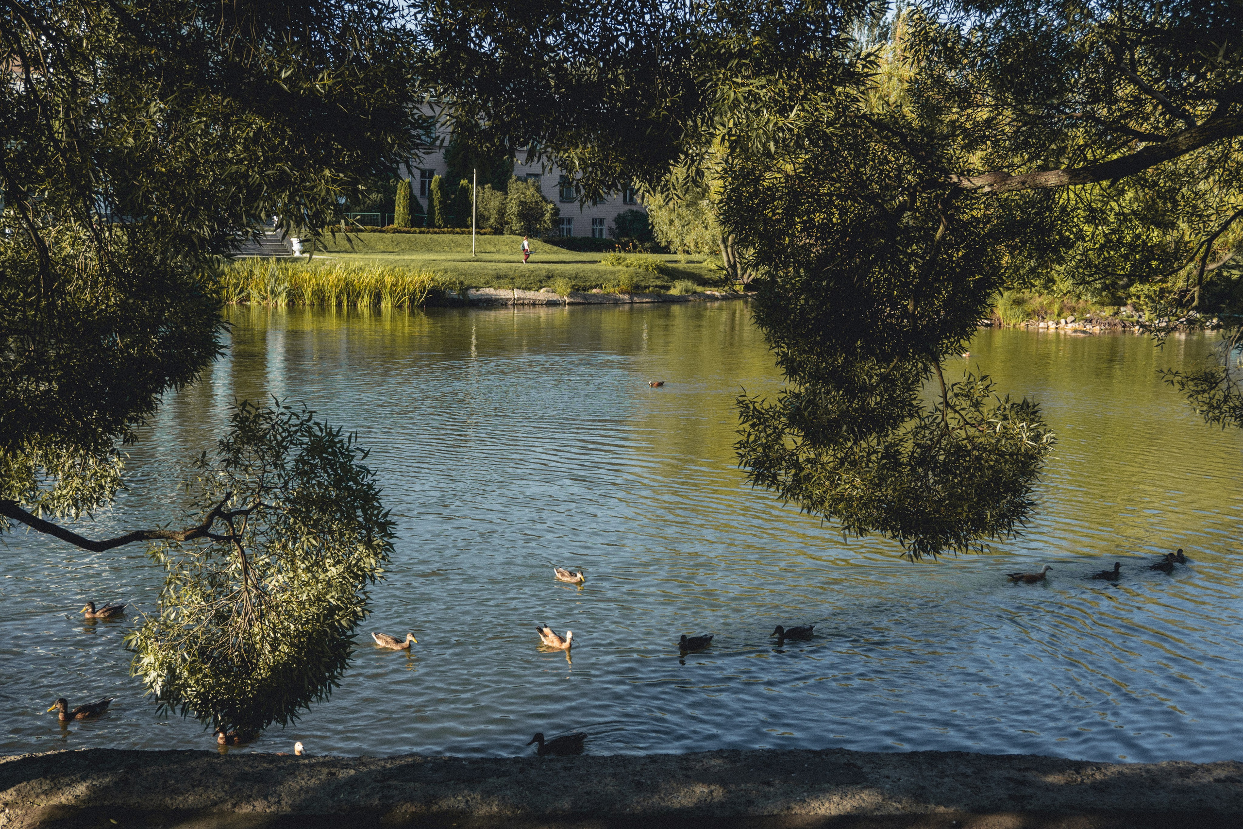 ВДНХ и Ботанический сад. Семейный и детский фотограф на Лазурном Берегу