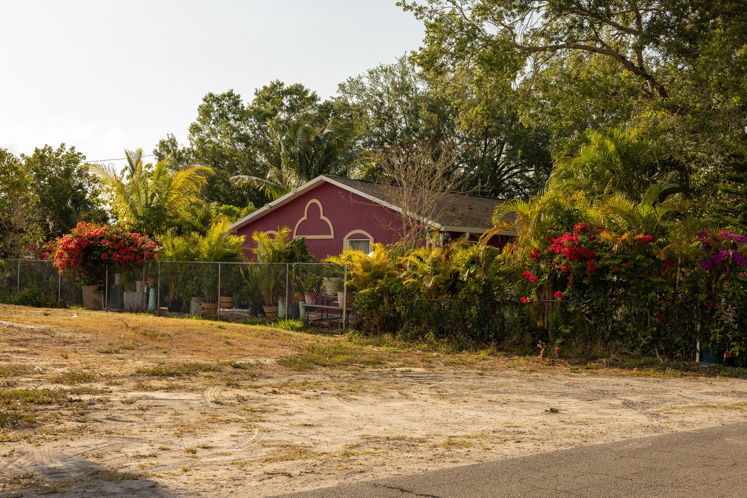 Immokolee. Out and About 239