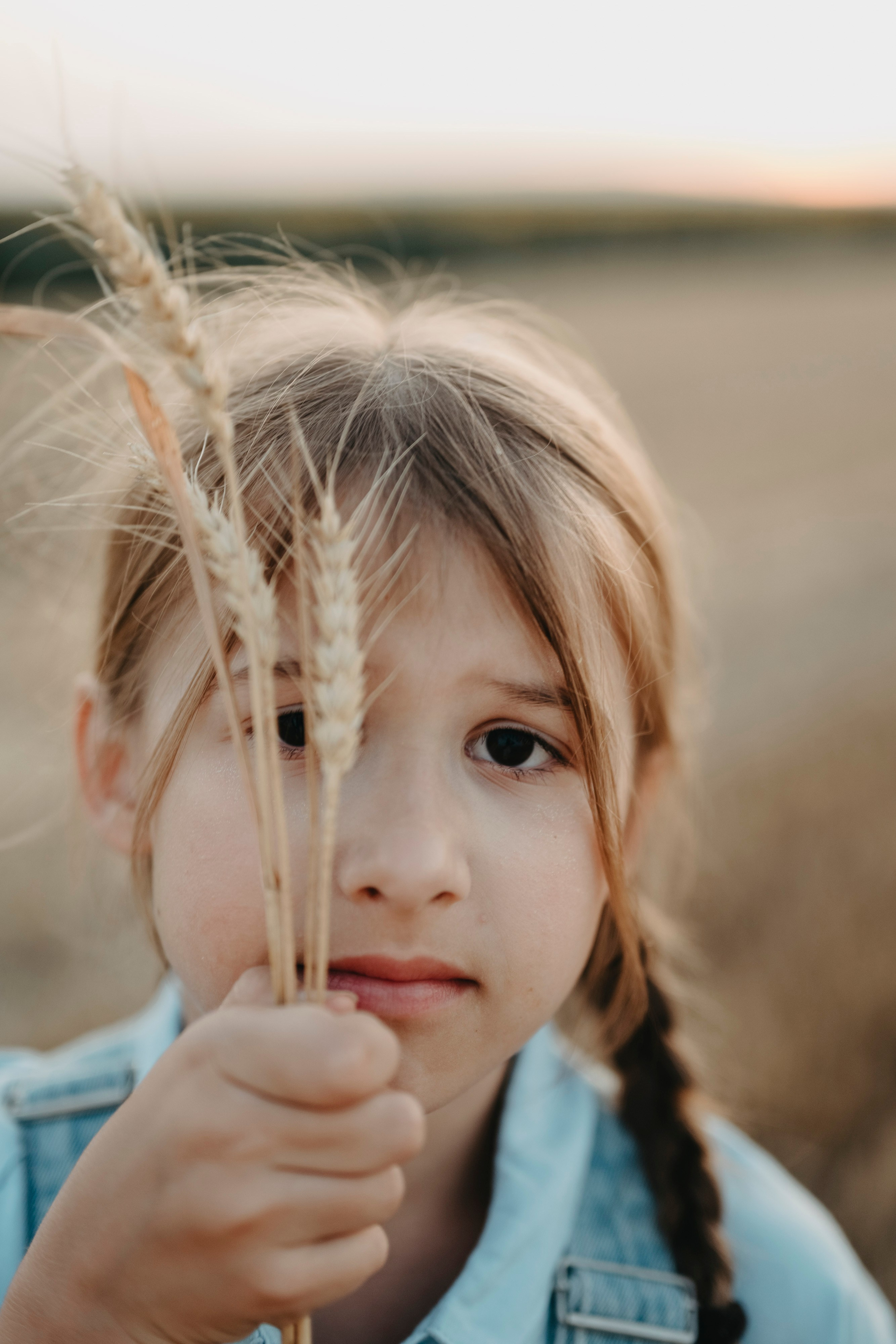 Letnje fotografisanje u polju suncokreta i sena. Deciji i porodicni fotograf u Beogradu Oksana Skendzic