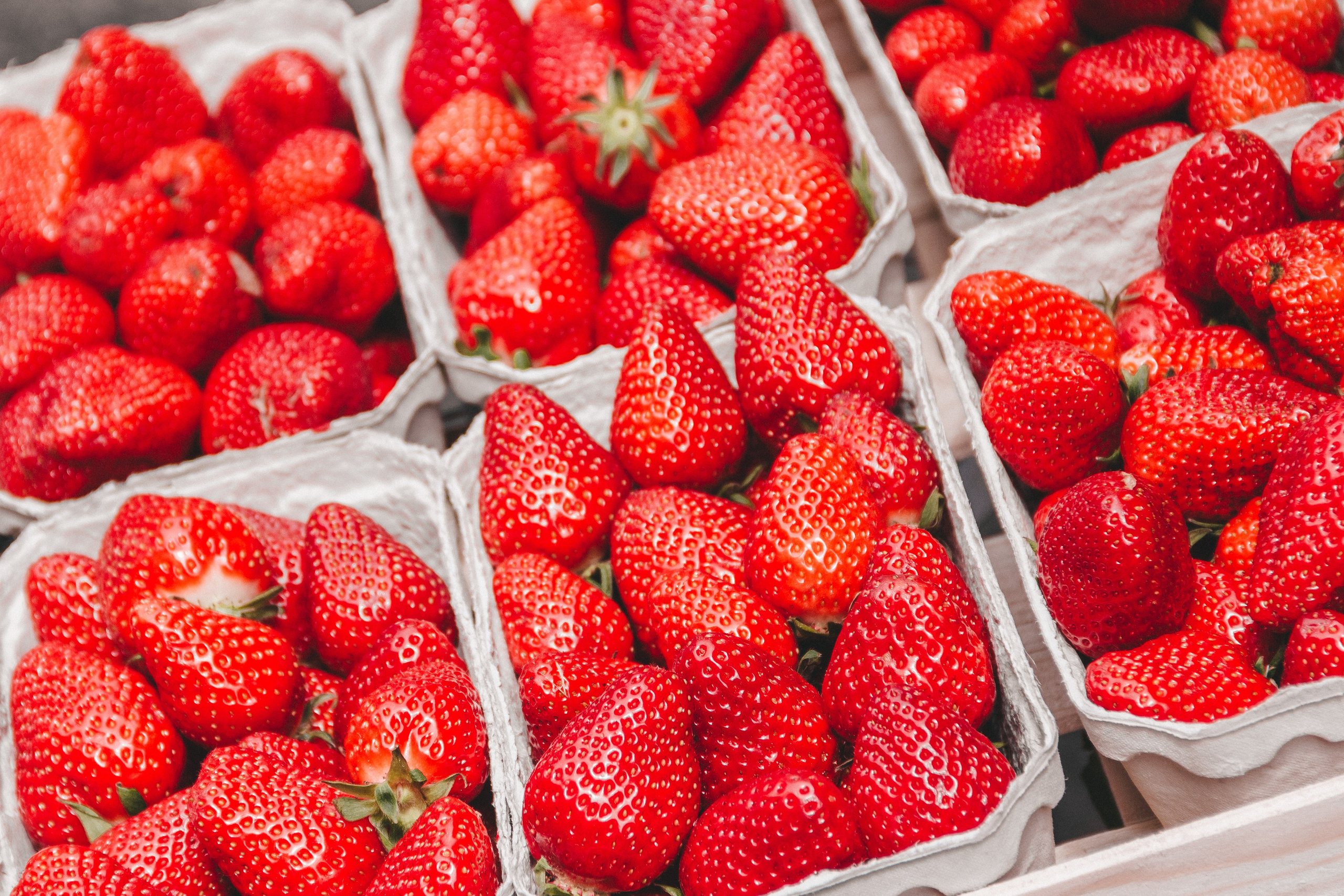 Oberkircher Erdbeerfest. Maria Chistyakovа — Fotografin in Karlsruhe, Baden-Baden und Umgebung