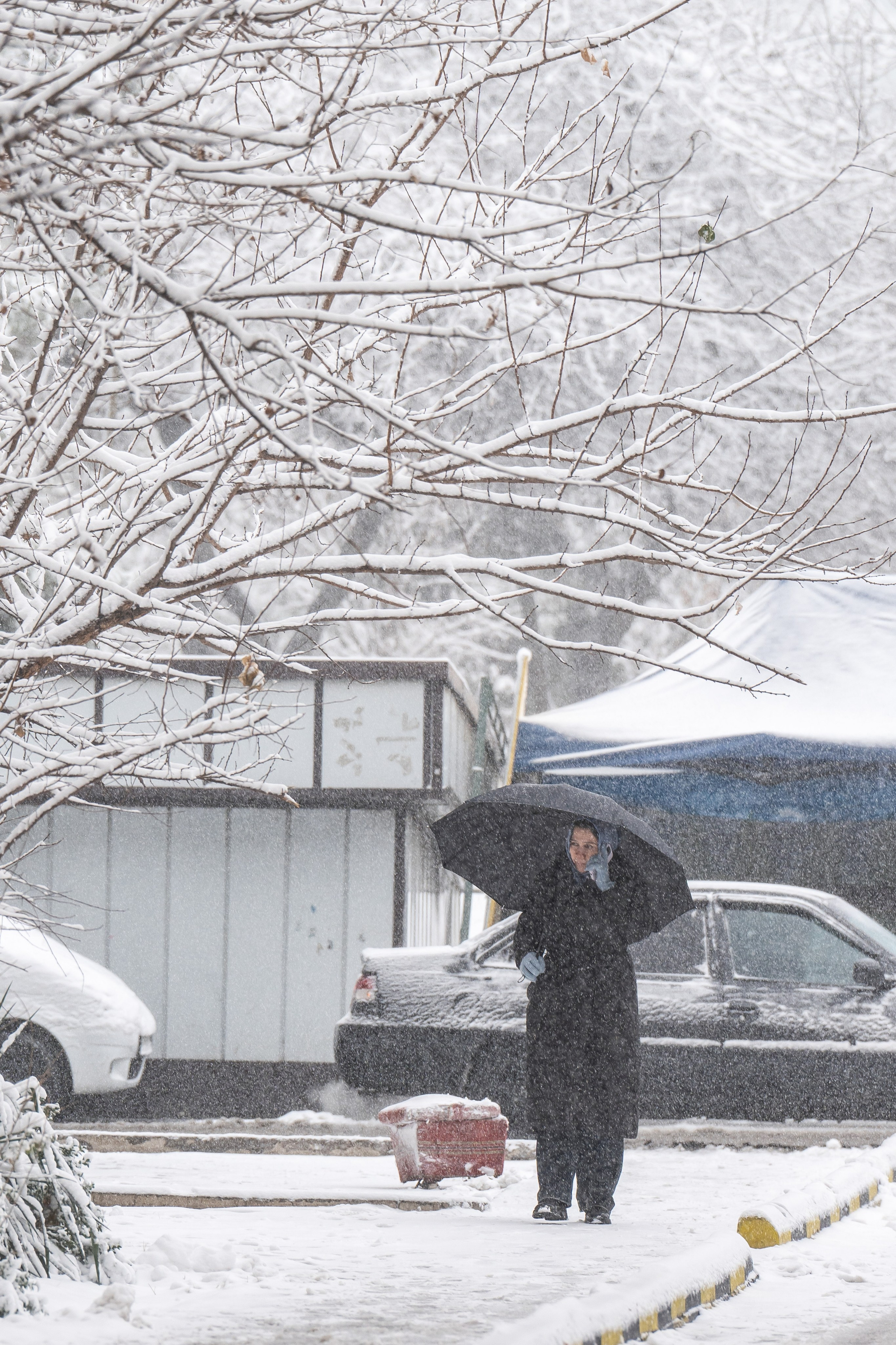 Снег. Георгий Намазов | Фотограф в Ташкенте