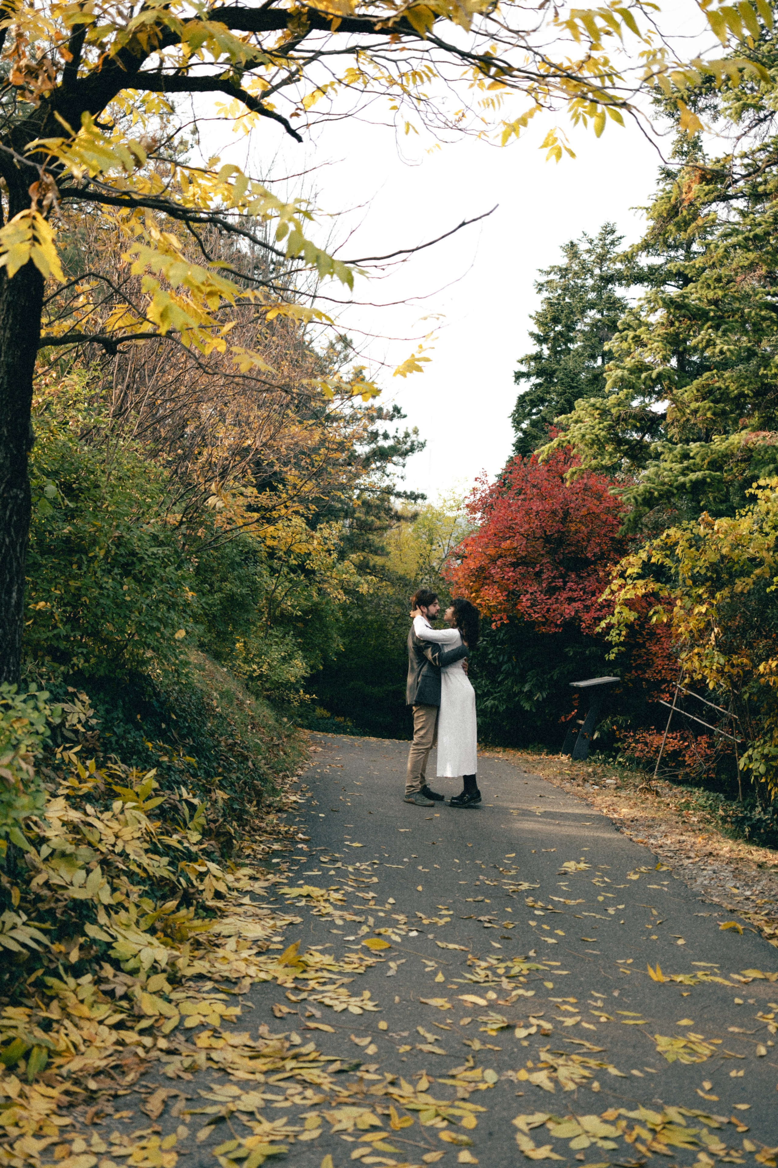 Botanical garden | Alessandro & Johanna. Главная