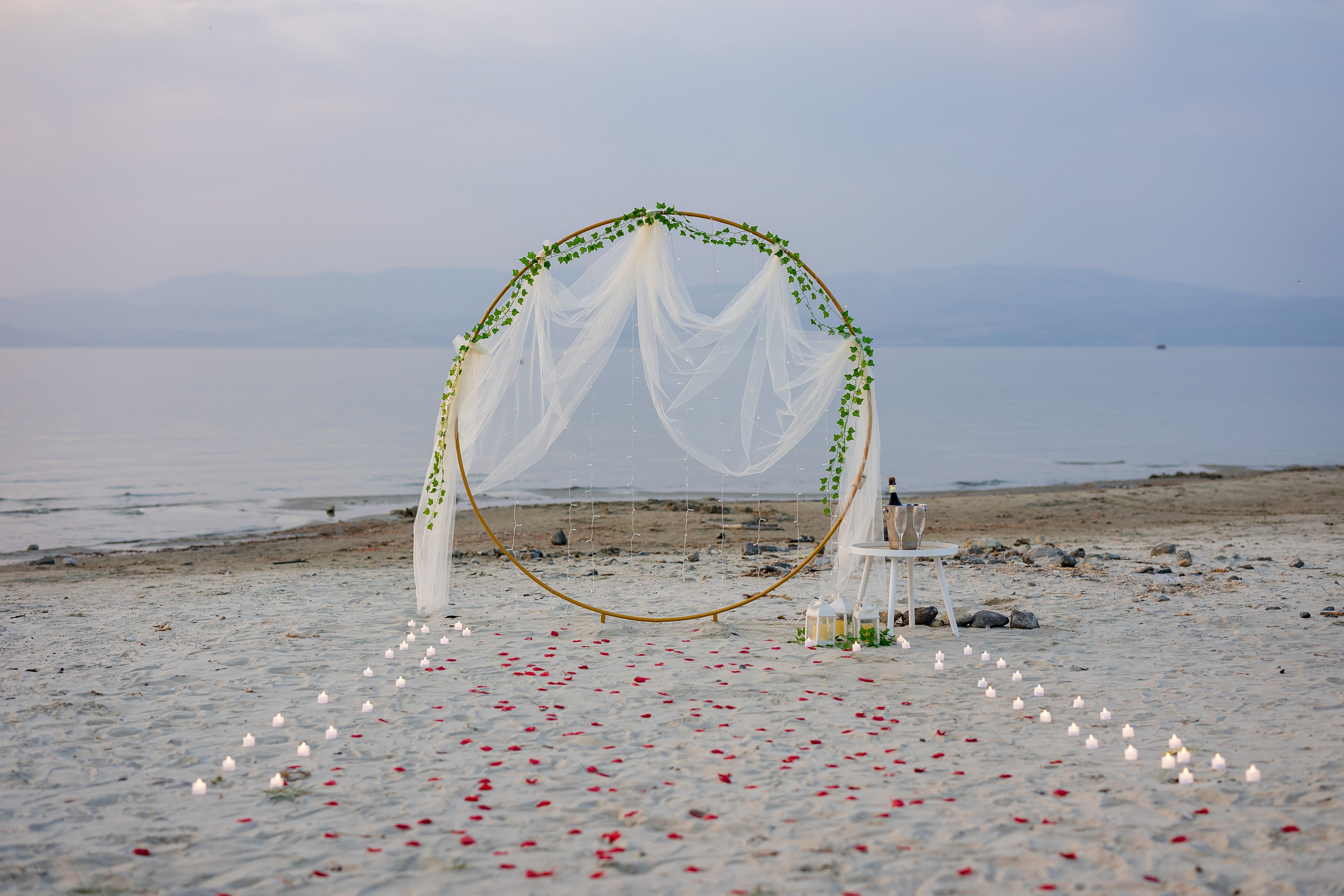 Save the Date & Proposal. AMIR BUCHNIK PHOTOGRAPHER