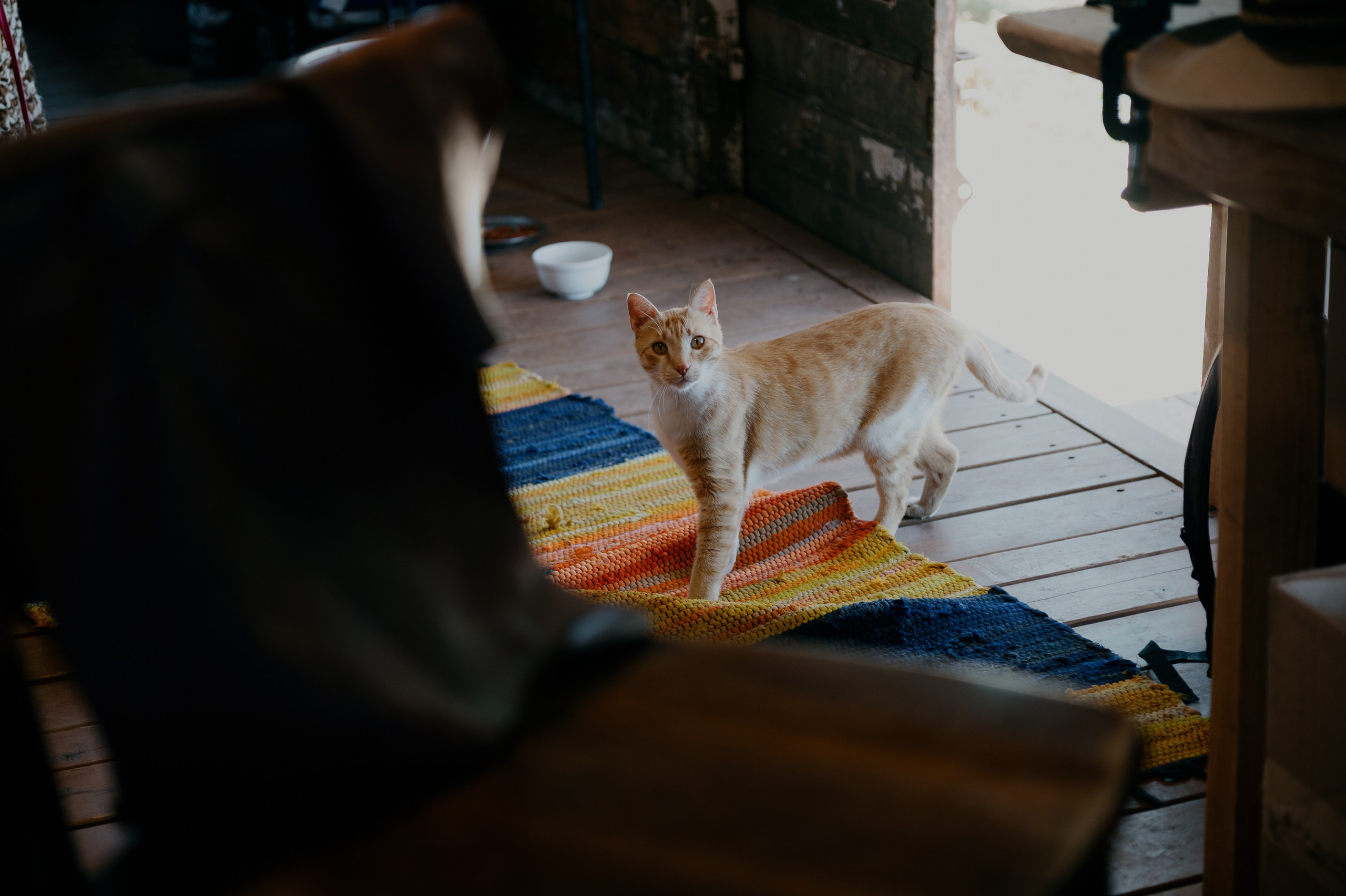 ZoZo. Portrait photografer in Montenegro