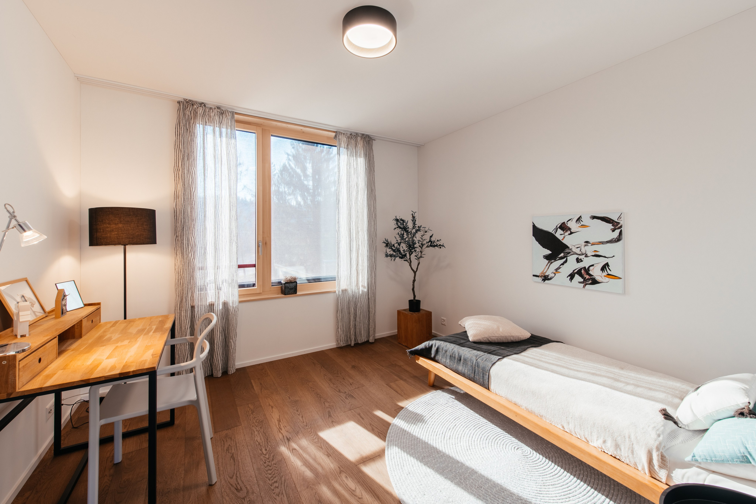 Wohnung, DIELSDORF, Kt. ZÜRICH. Hallo! Ich bin Elena und arbeite als Immobilienfotografin