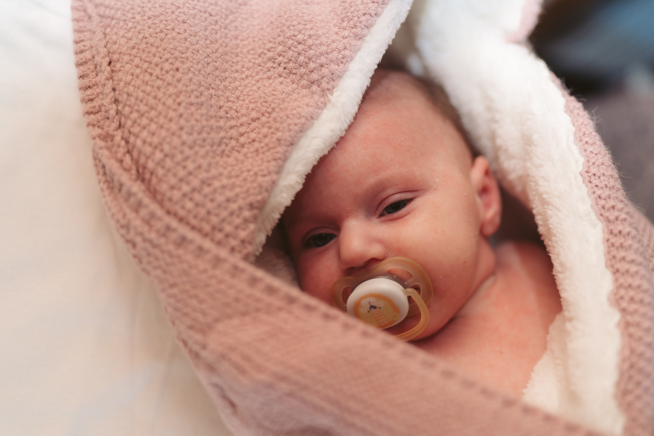 Cataleya Ecaterina. Marius Alex fotograf de eveniment si portret din Suceava