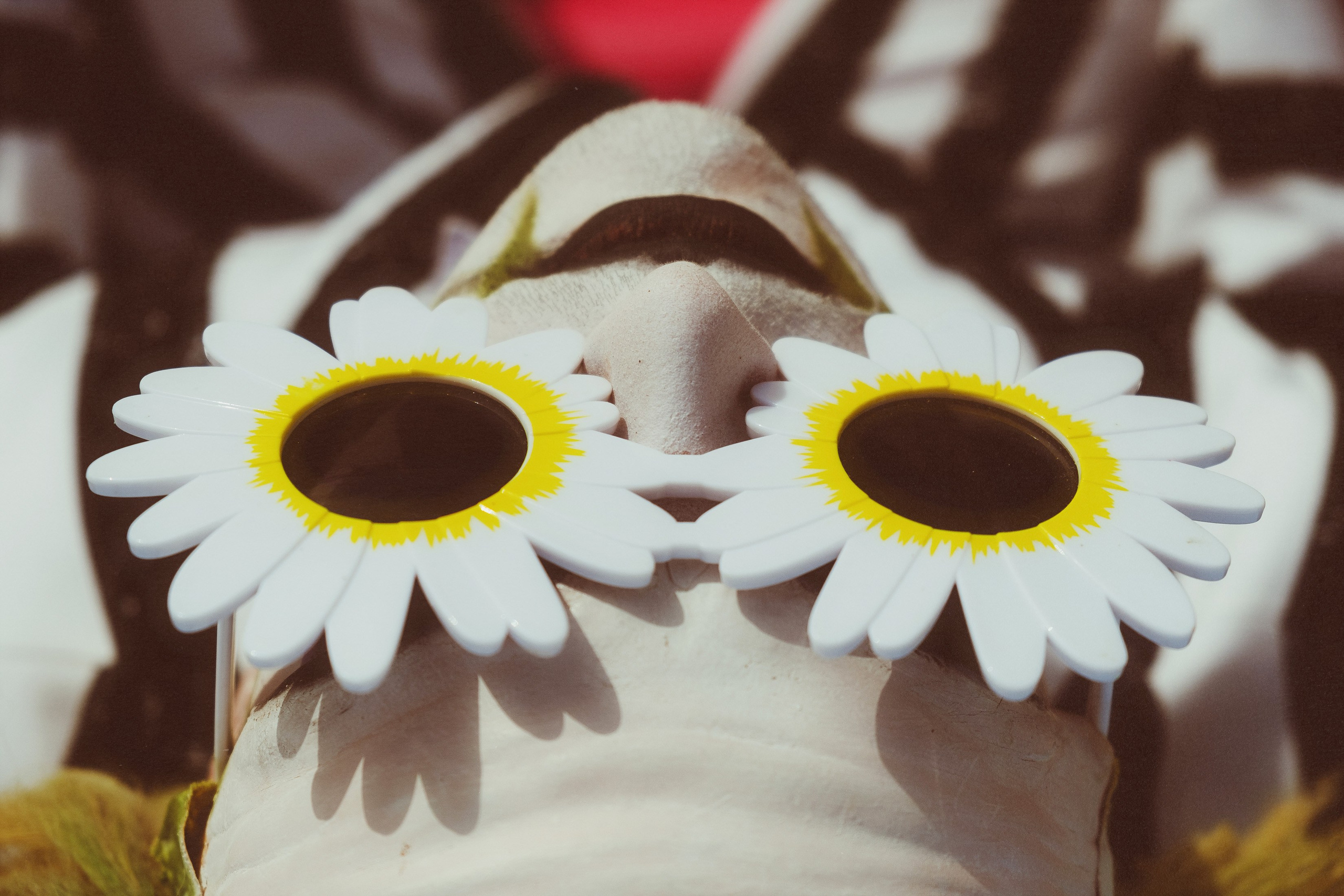 Beetlejuice on the Beach