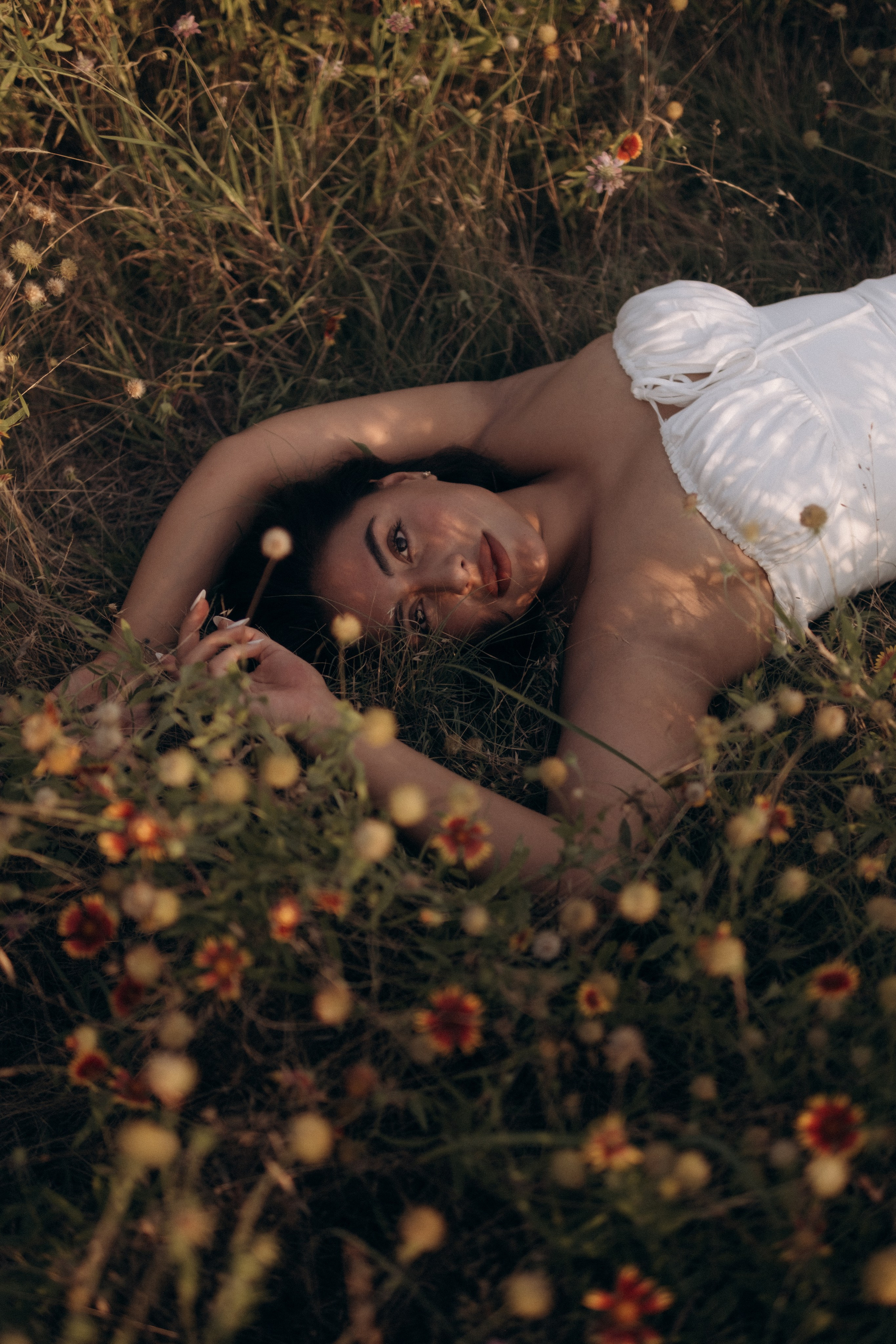 Fields of Flowers. Lens Captures Life