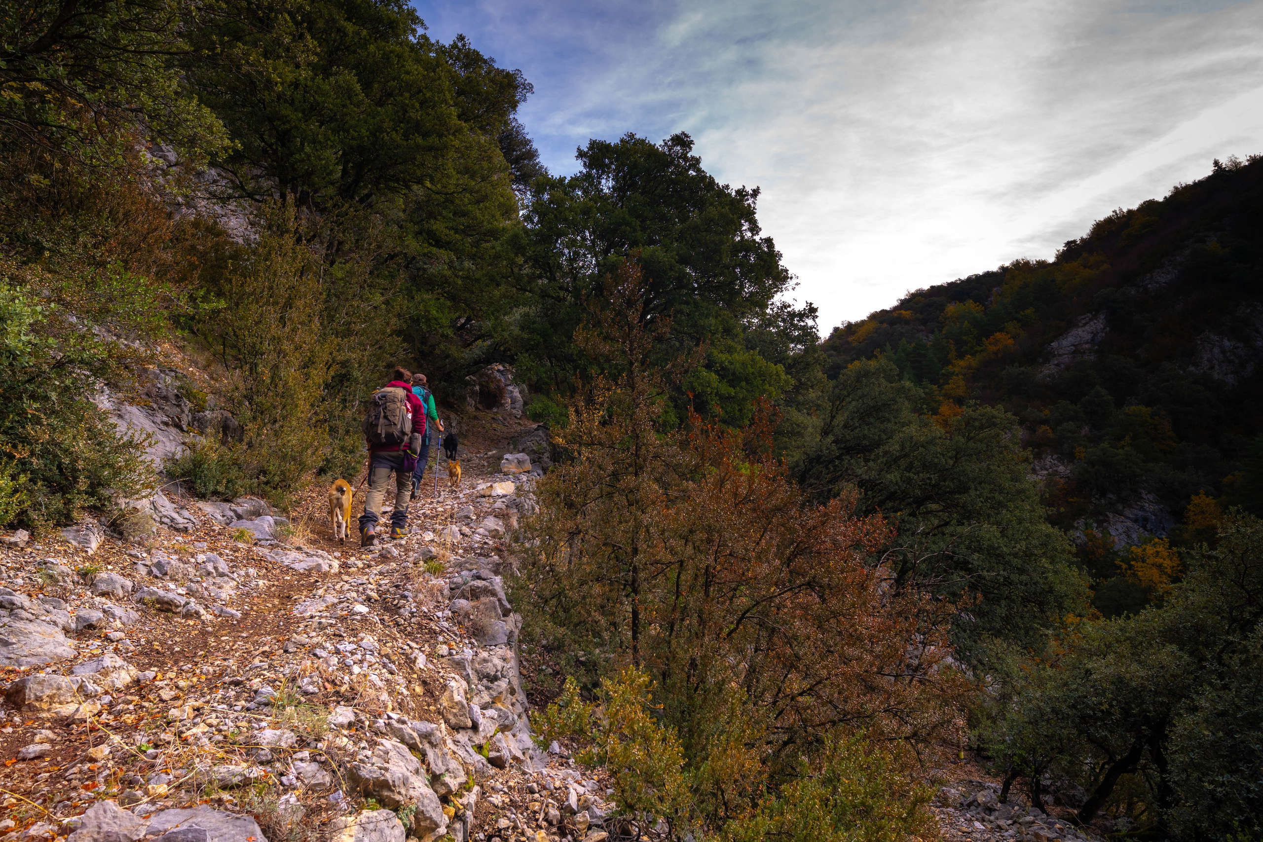 Ruta Otoño. Alba del Norte Studio