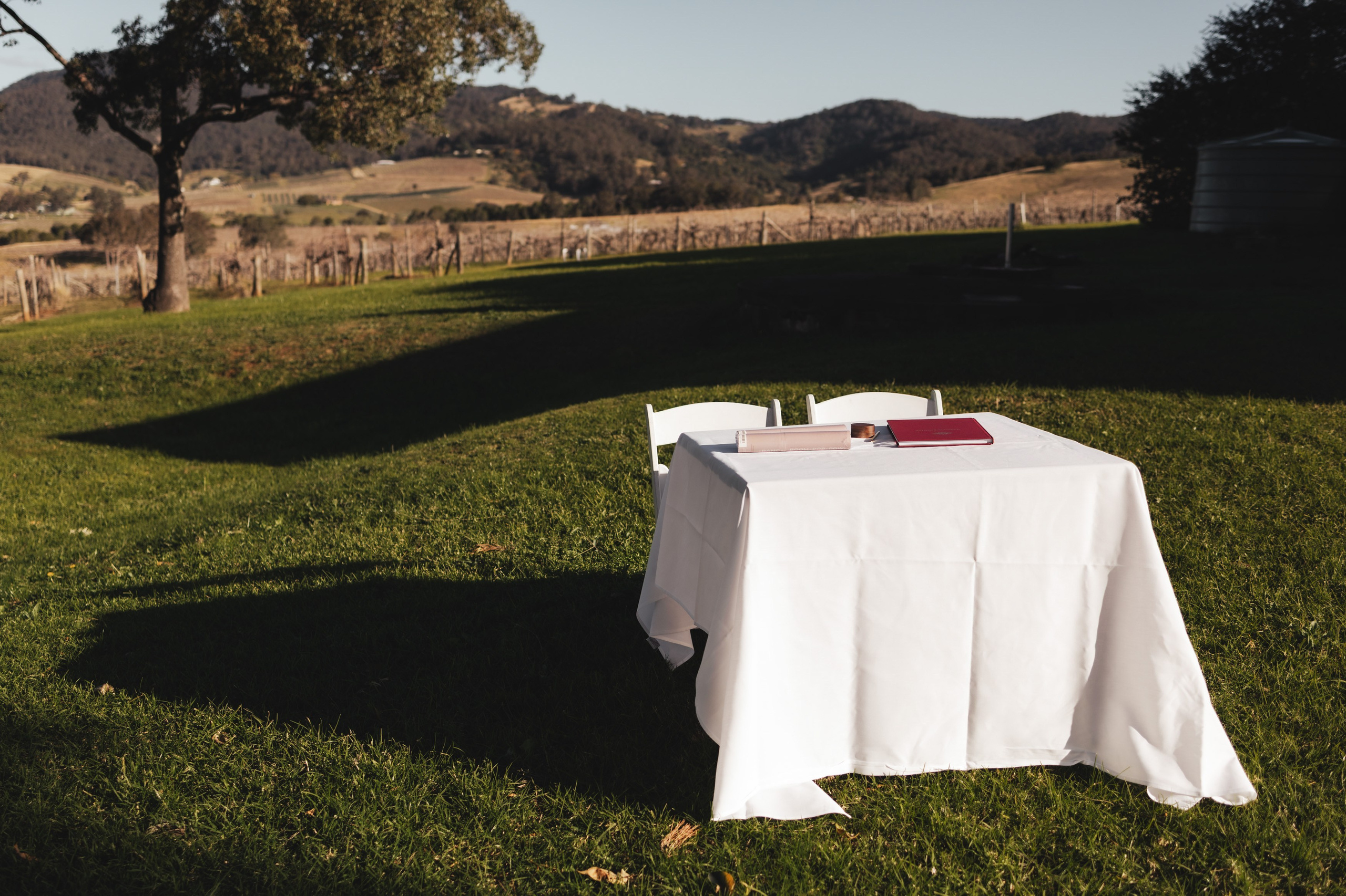 Steph + Steph. True Story Photography