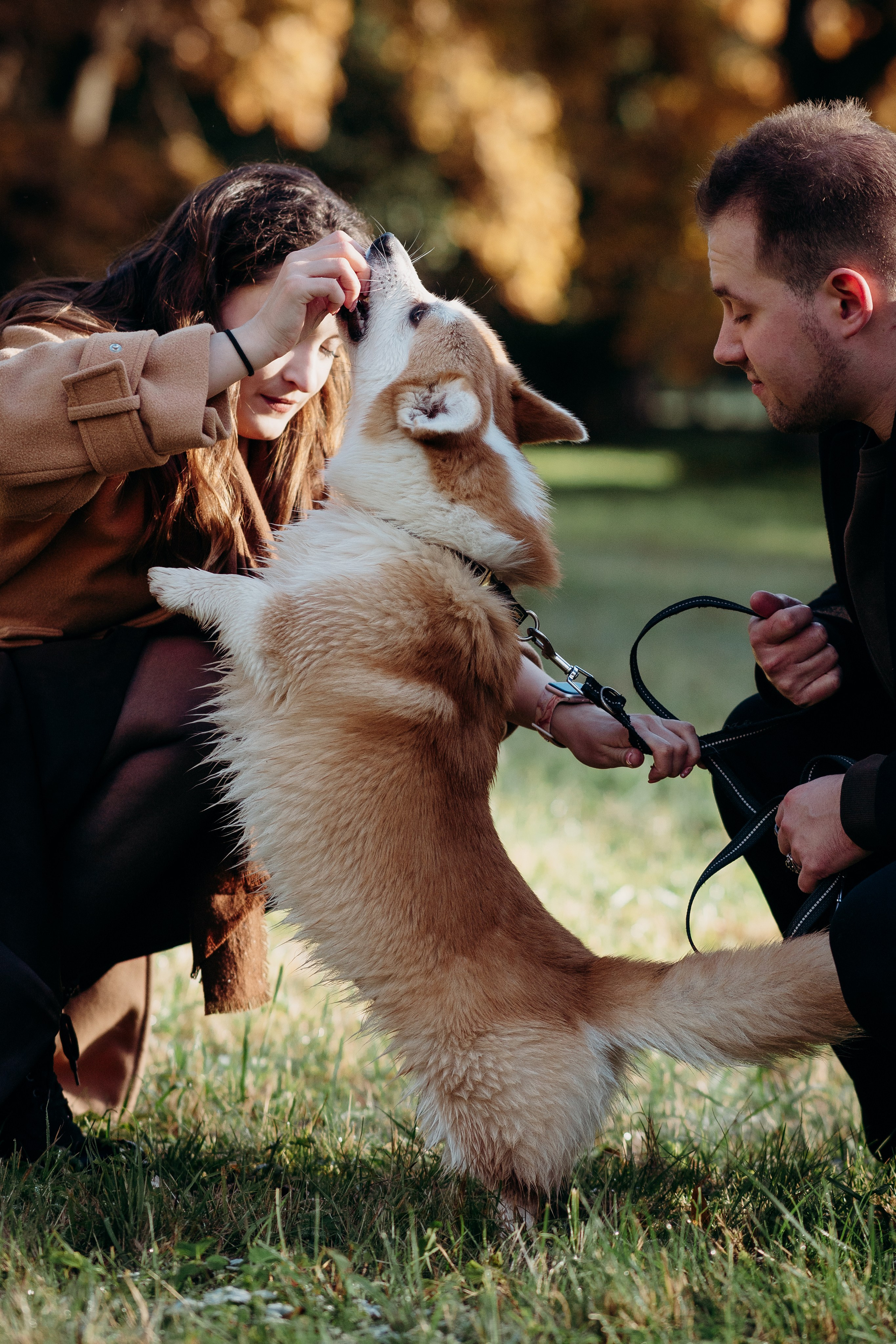 Liisa, Alexander & Marsel. Фотограф-анималист в Таллинне, Катя Лайсаар