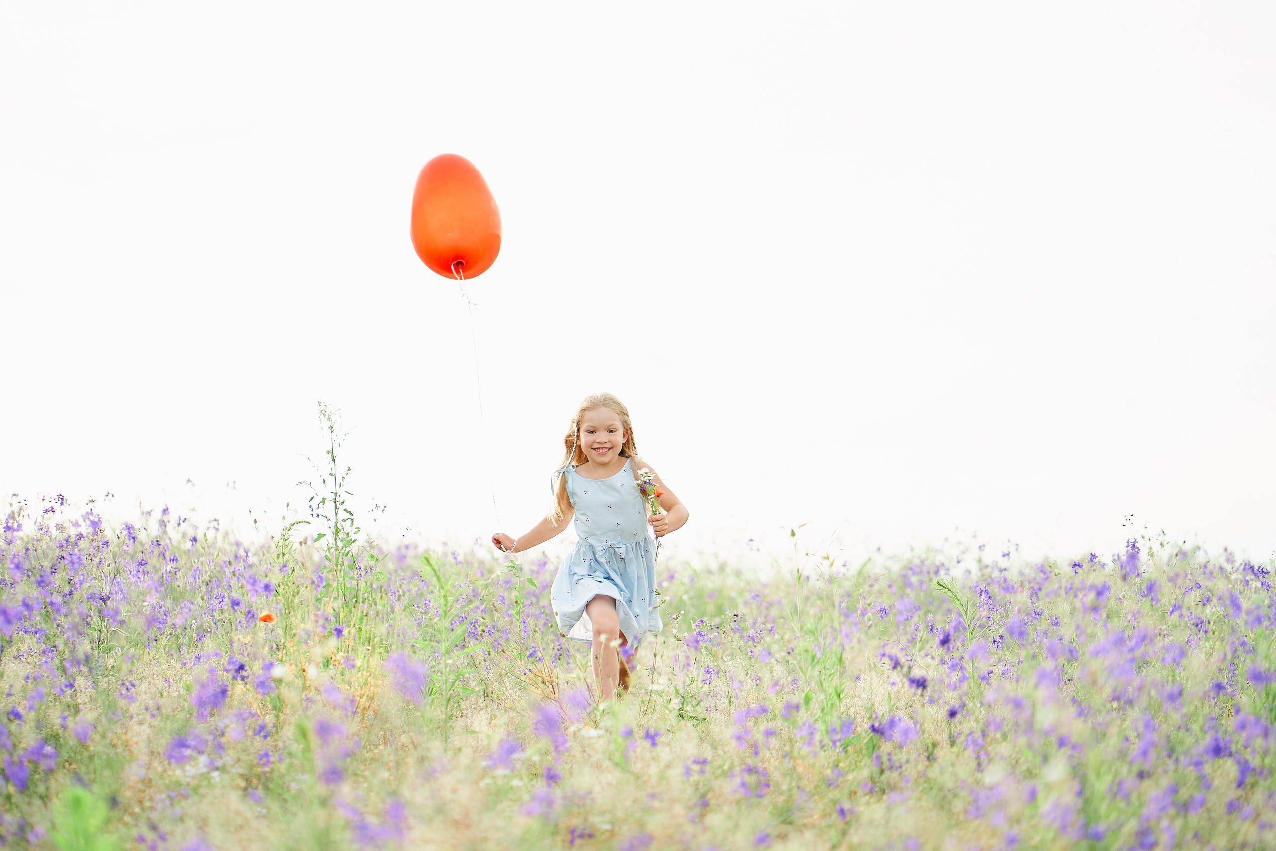 Летнее фиолетовое поле. Свадебный фотограф Даугавпилс, Рига/ Kāzu fotogrāfs Daugavpils, Rīga