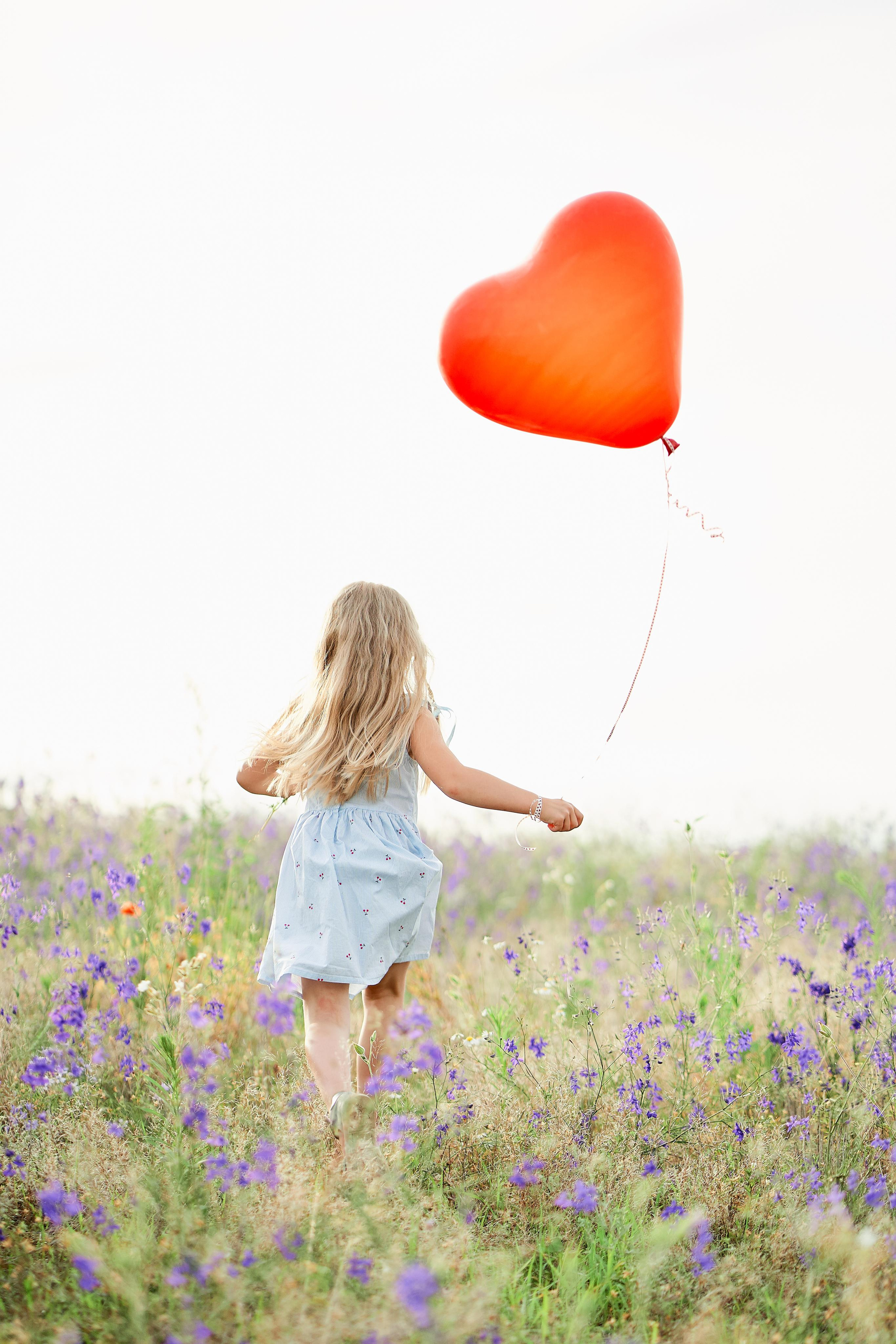 Летнее фиолетовое поле. Свадебный фотограф Даугавпилс, Рига/ Kāzu fotogrāfs Daugavpils, Rīga