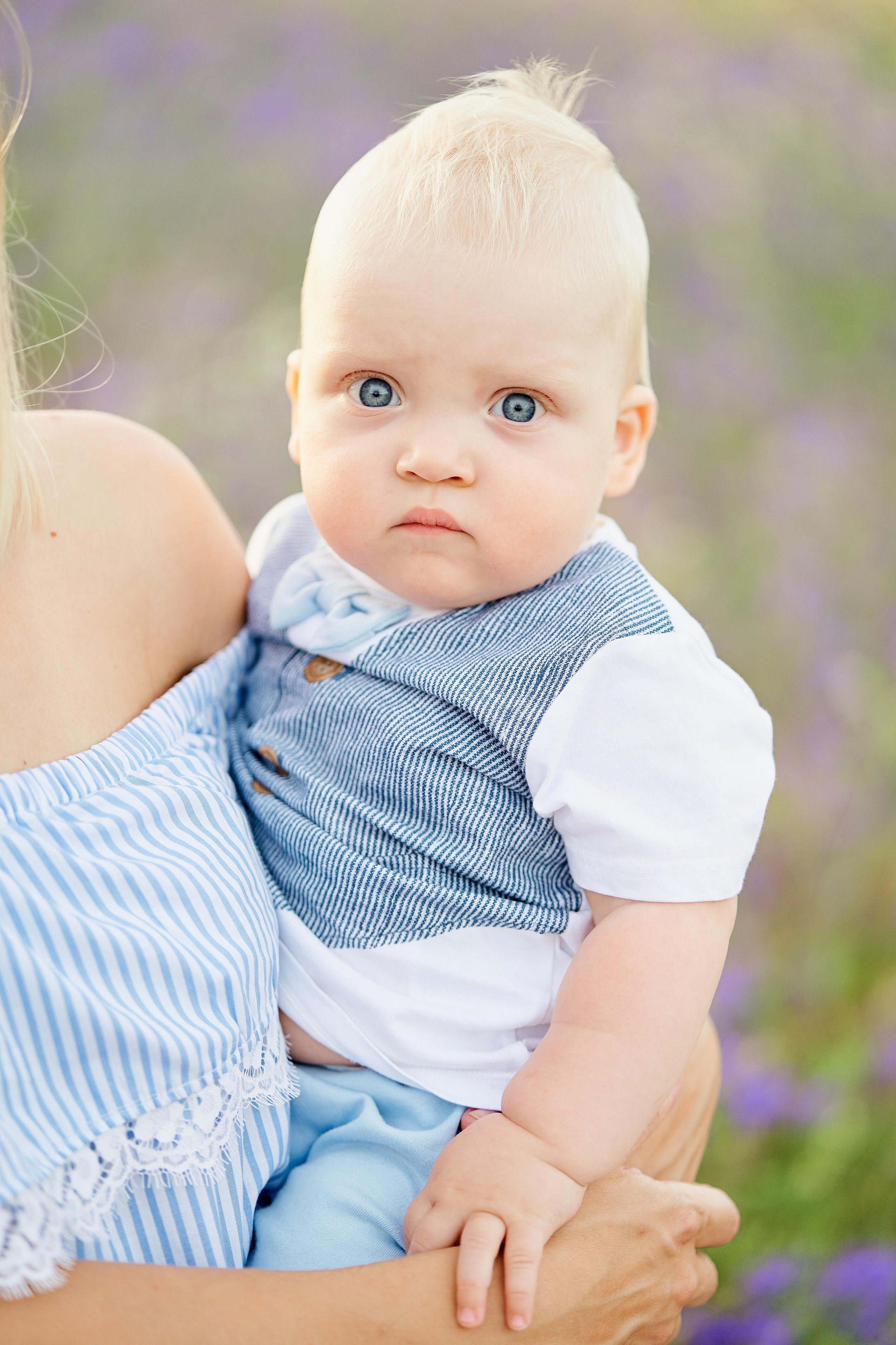 Летнее фиолетовое поле. Свадебный фотограф Даугавпилс, Рига/ Kāzu fotogrāfs Daugavpils, Rīga