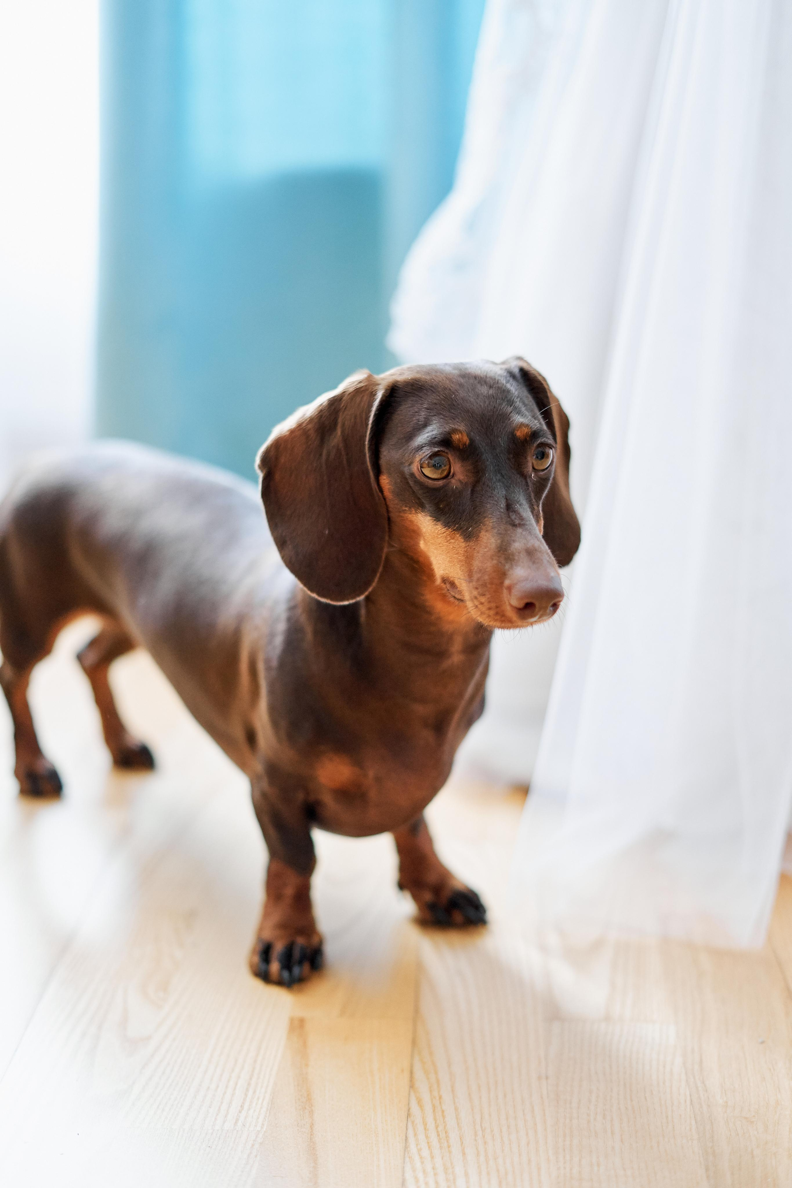 Diana & Jura. Свадебный фотограф Даугавпилс, Рига/ Kāzu fotogrāfs Daugavpils, Rīga