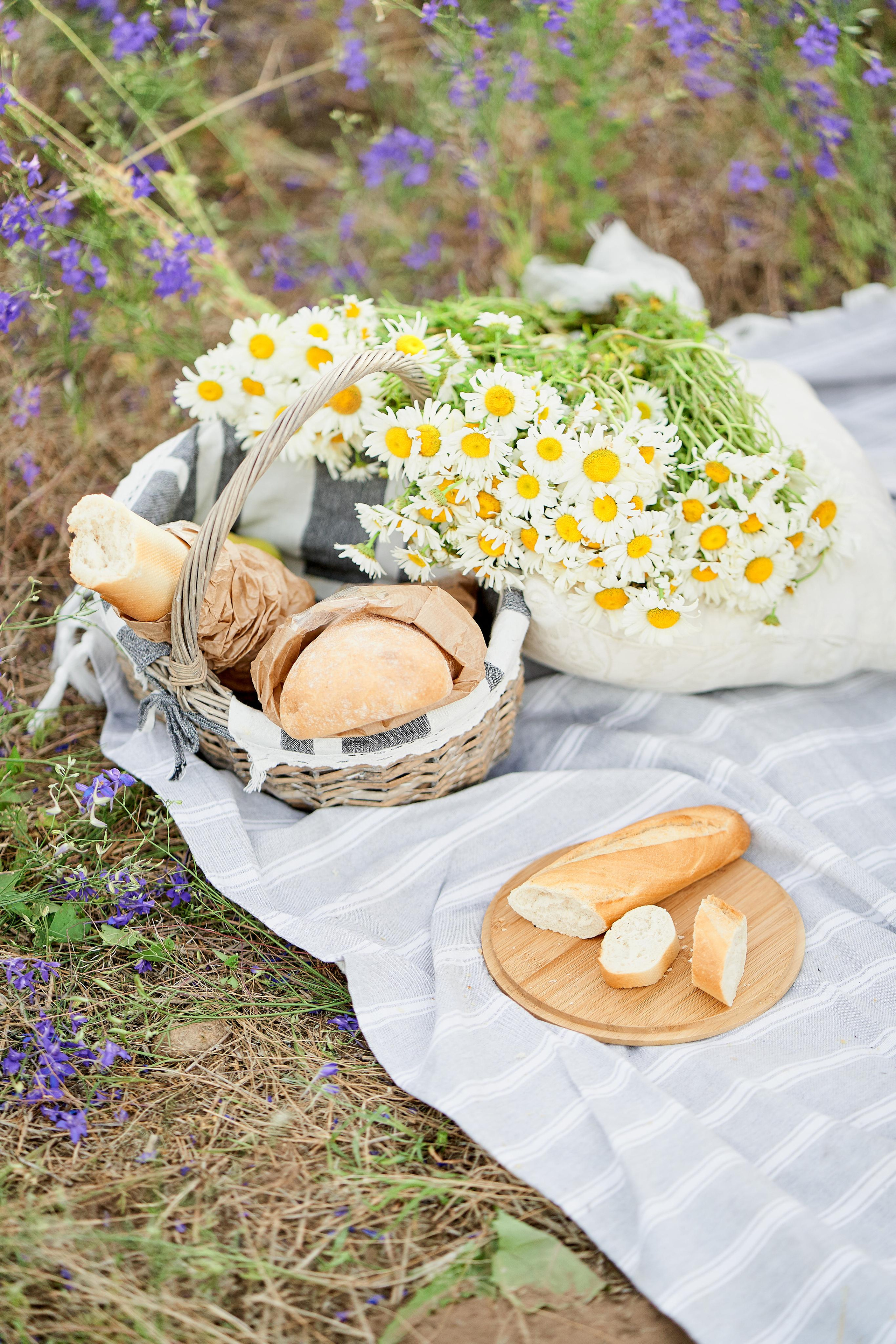 Летнее фиолетовое поле. Свадебный фотограф Даугавпилс, Рига/ Kāzu fotogrāfs Daugavpils, Rīga